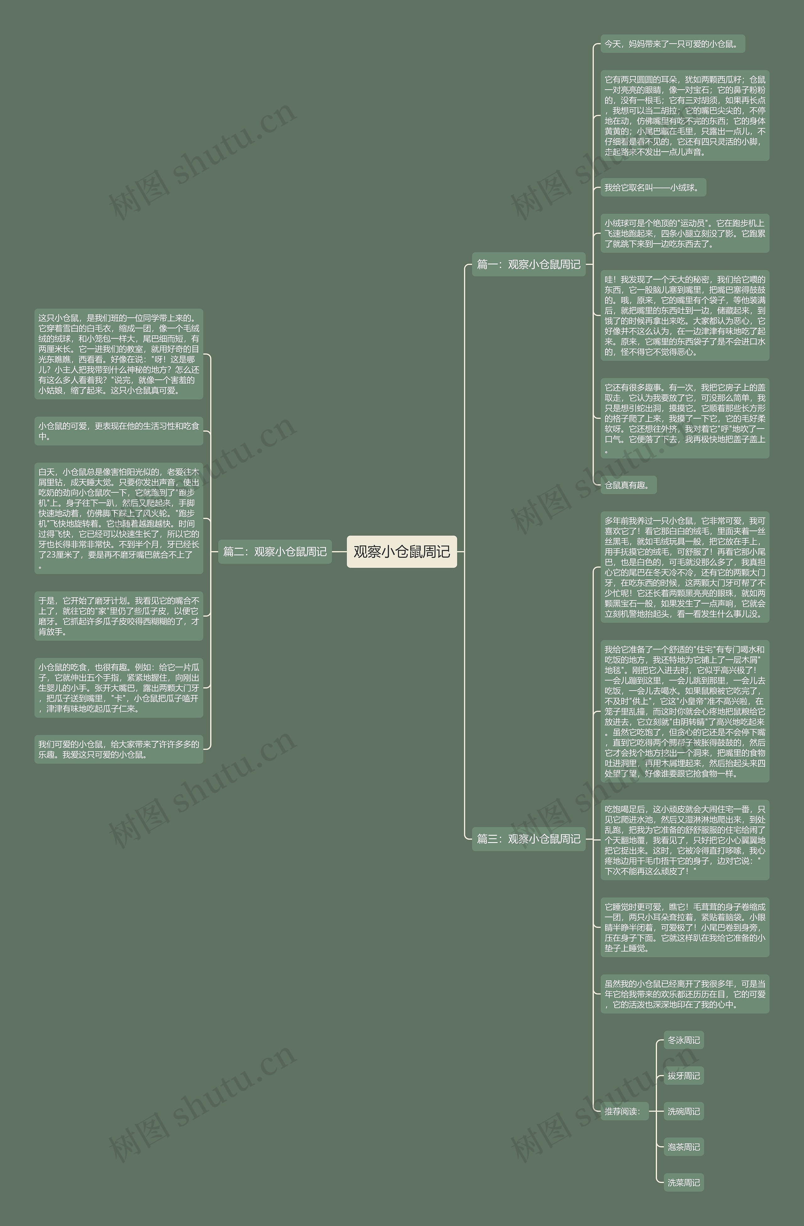 观察小仓鼠周记思维导图