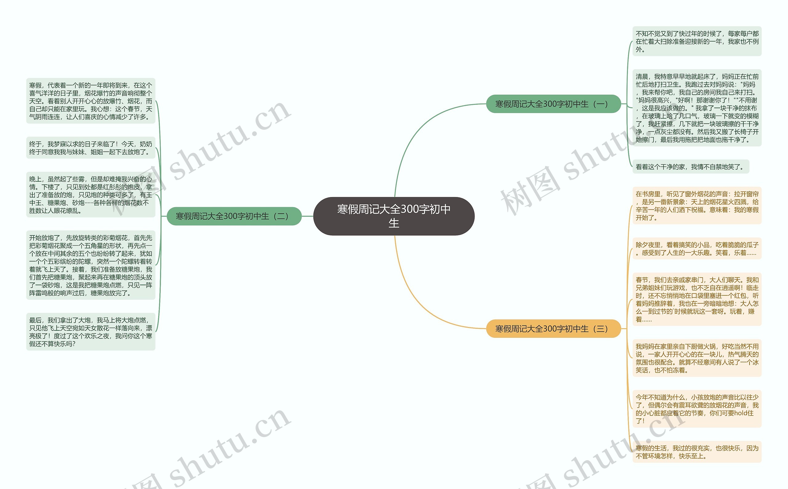 寒假周记大全300字初中生思维导图