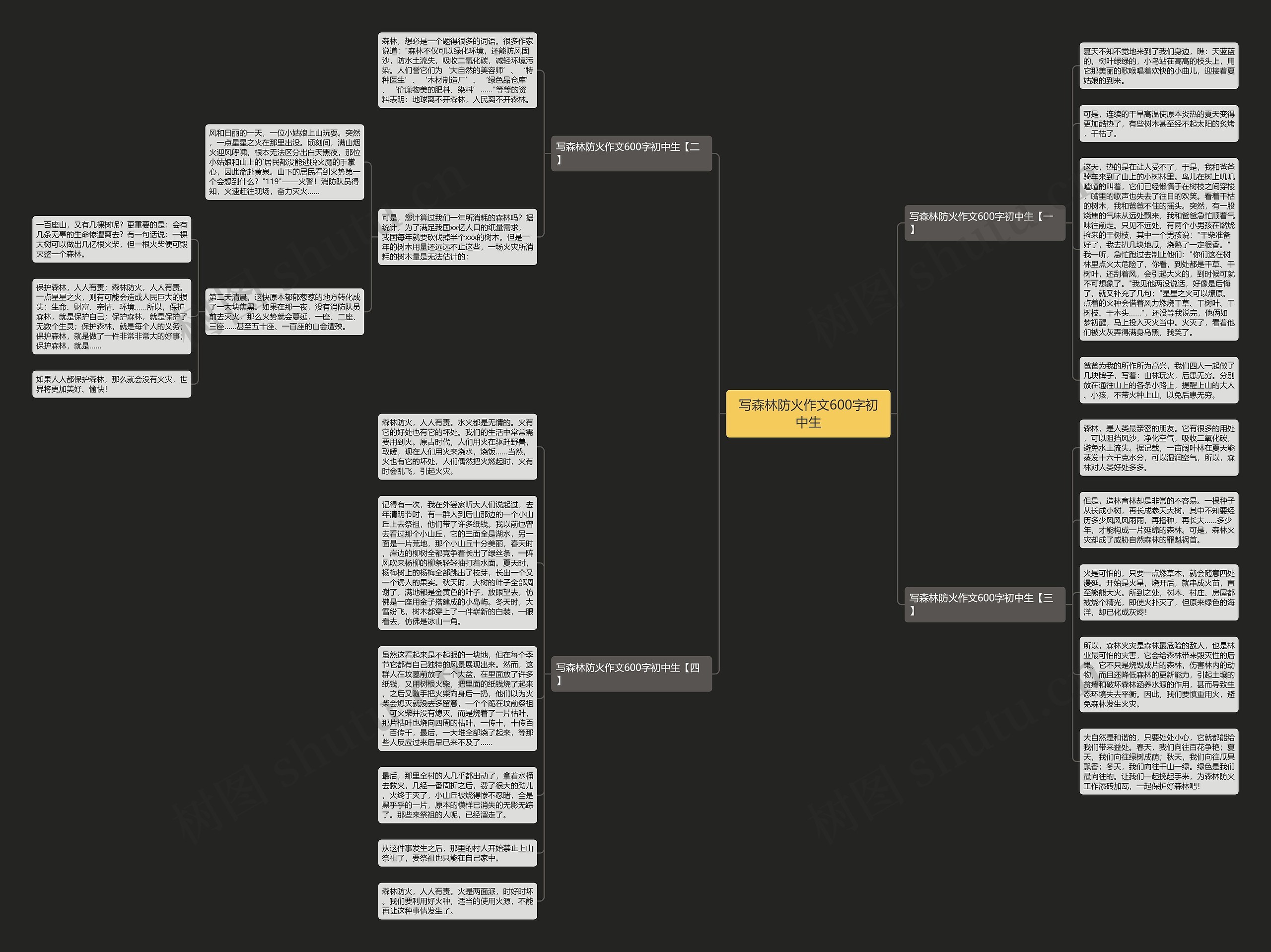写森林防火作文600字初中生思维导图