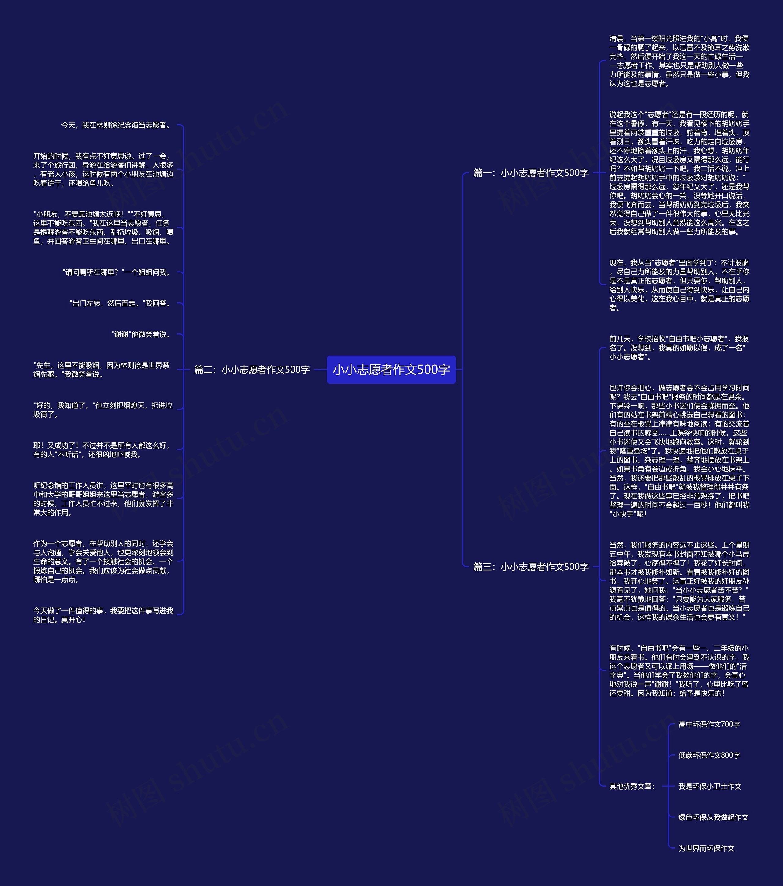 小小志愿者作文500字