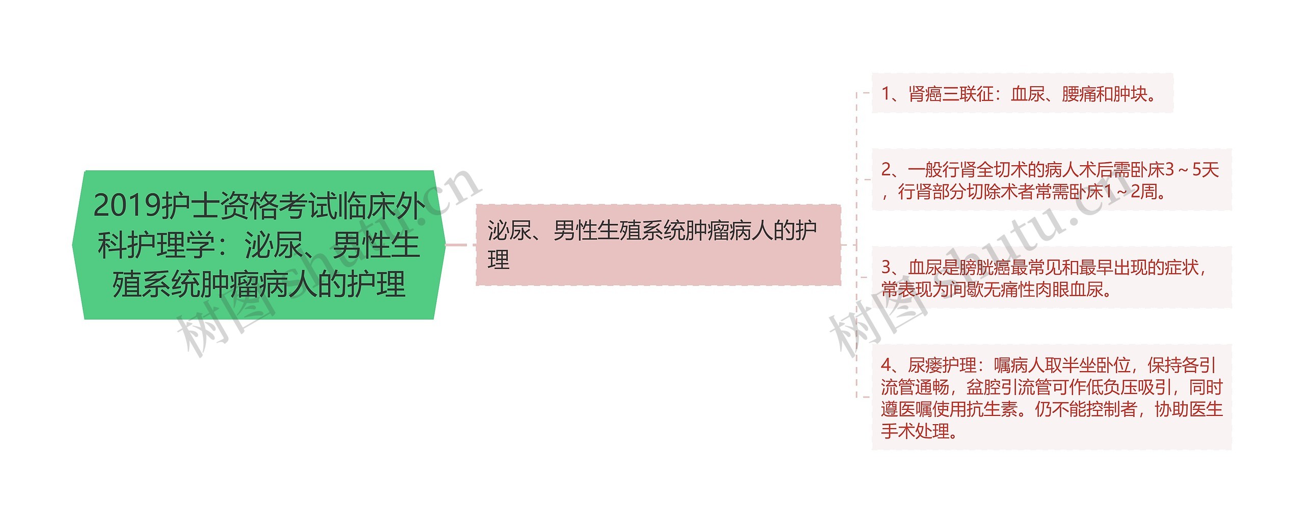 2019护士资格考试临床外科护理学：泌尿、男性生殖系统肿瘤病人的护理