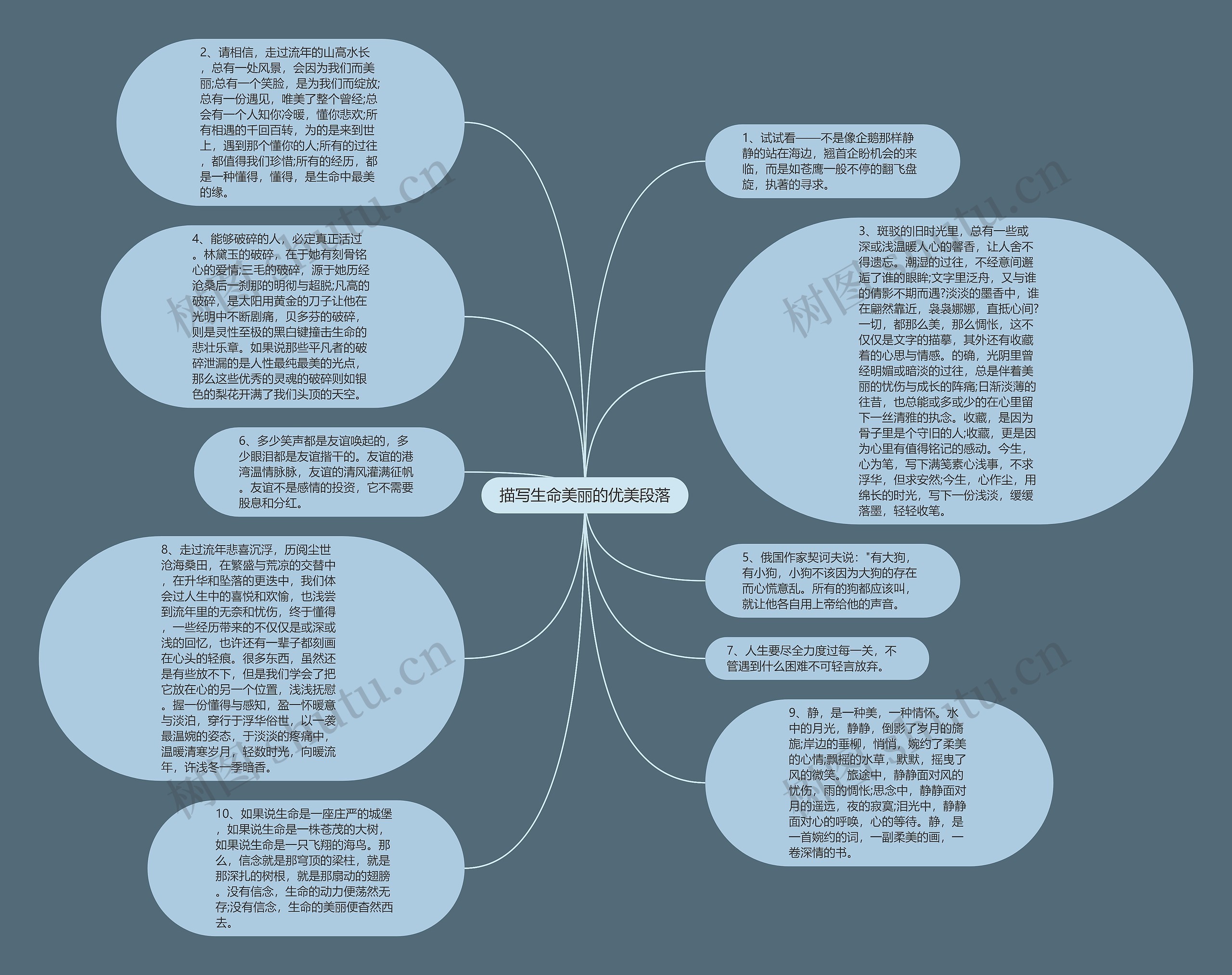 描写生命美丽的优美段落思维导图