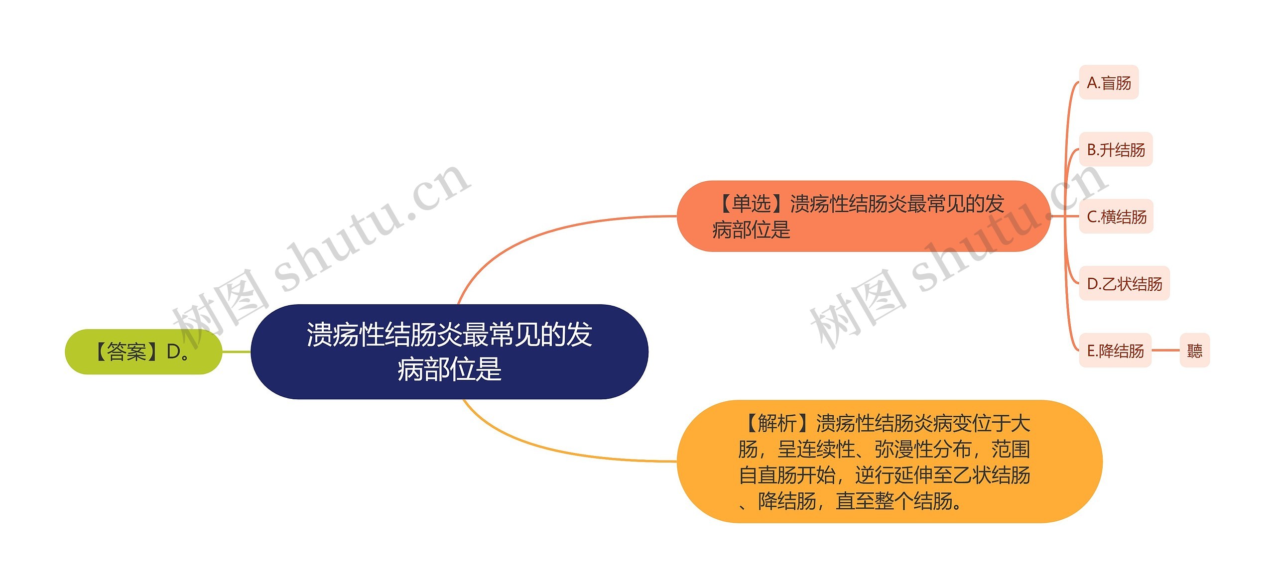 溃疡性结肠炎最常见的发病部位是