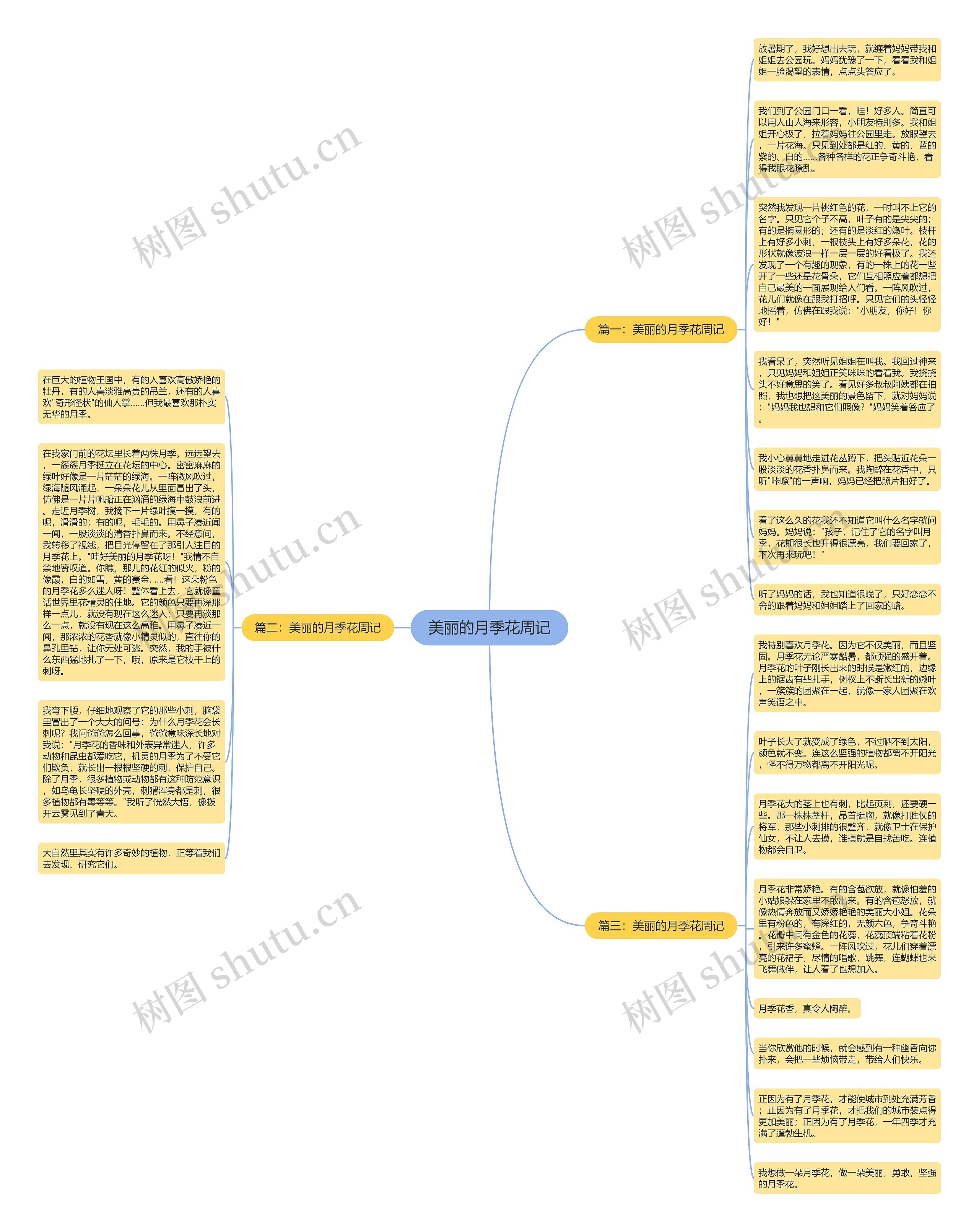 美丽的月季花周记思维导图