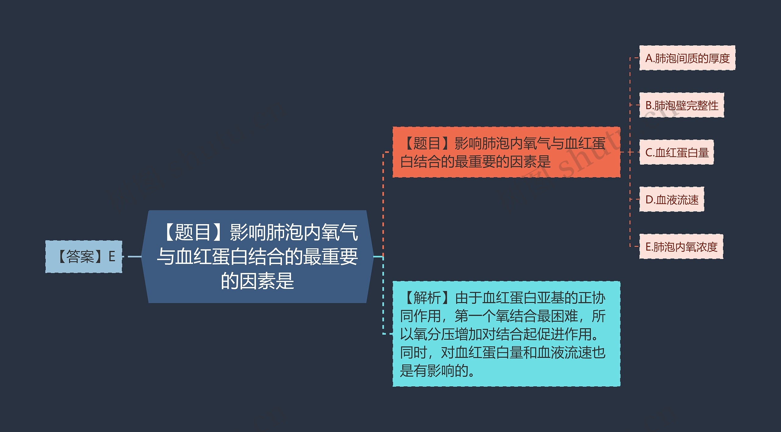 【题目】影响肺泡内氧气与血红蛋白结合的最重要的因素是思维导图