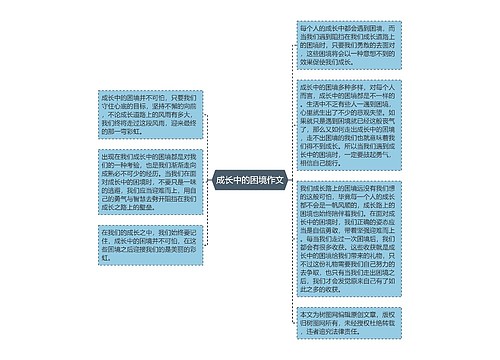 成长中的困境作文