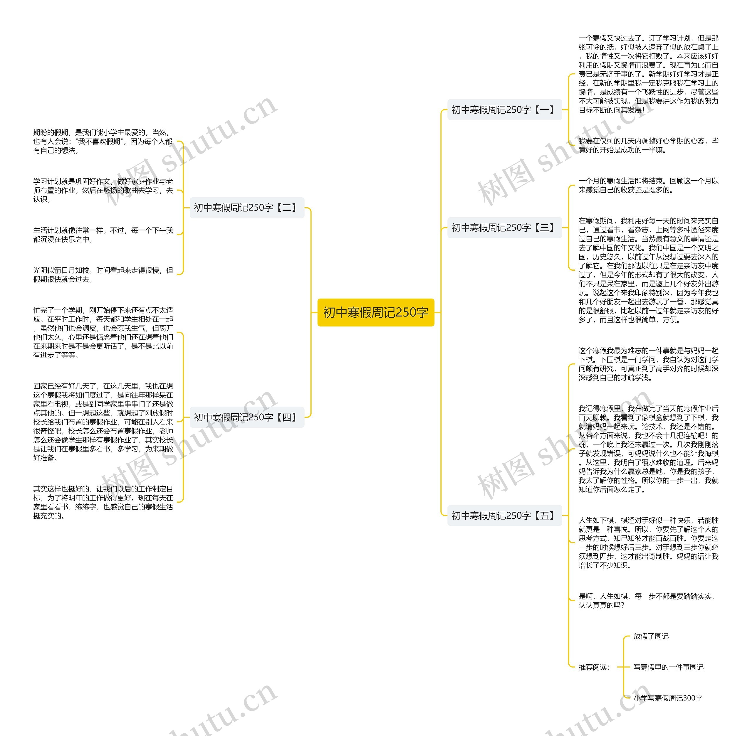 初中寒假周记250字思维导图