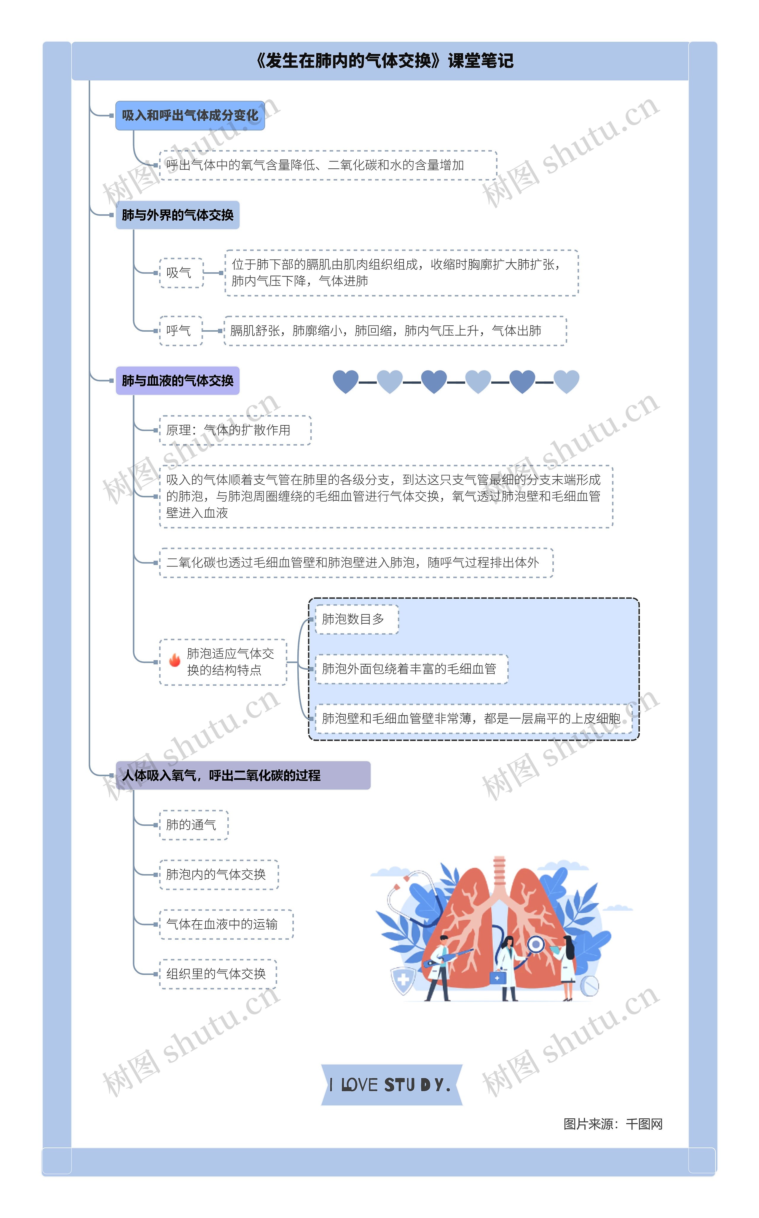 生物七年级下册第三章第二节《发生在肺内的气体交换》课堂笔记