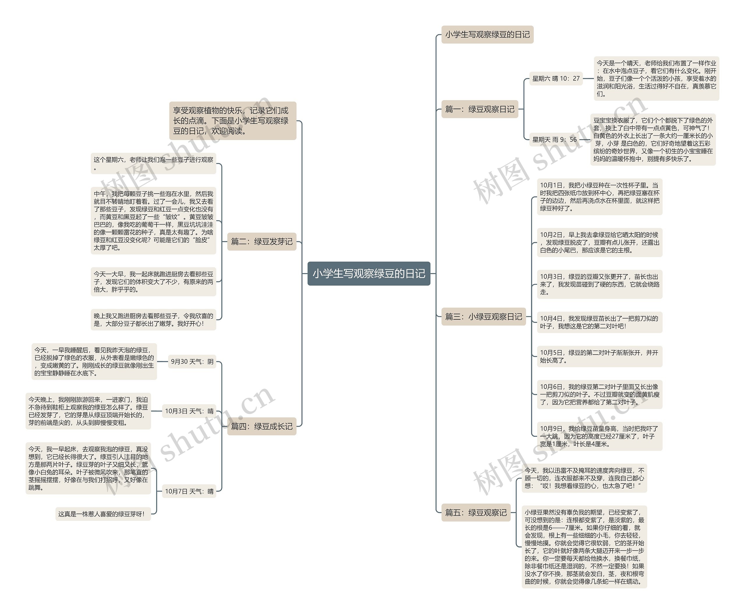 小学生写观察绿豆的日记 小学生写观察绿豆的日记