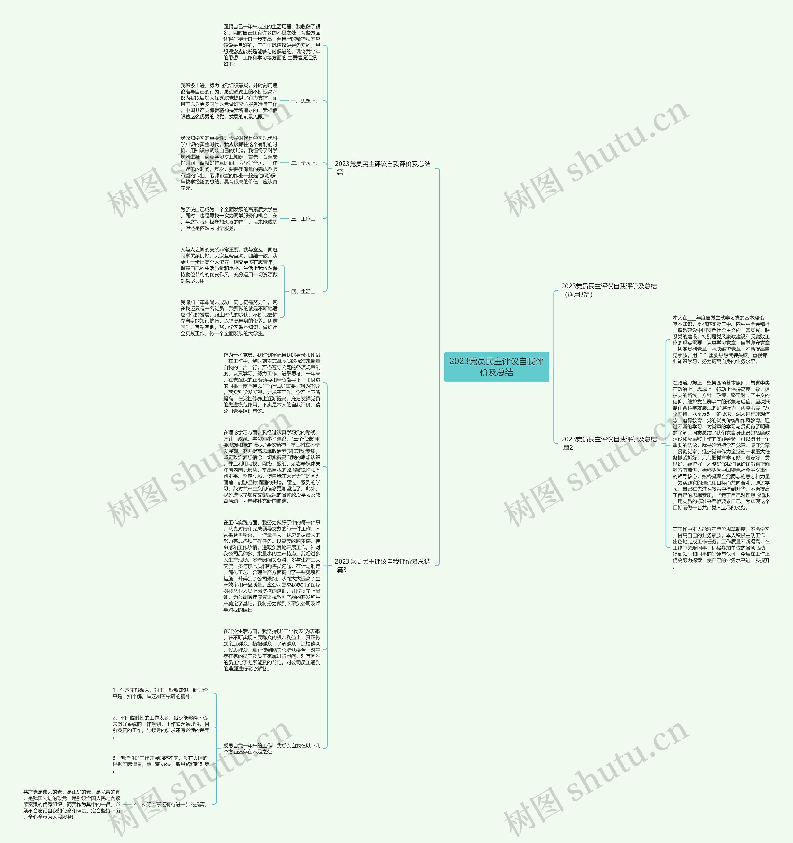 2023党员民主评议自我评价及总结思维导图