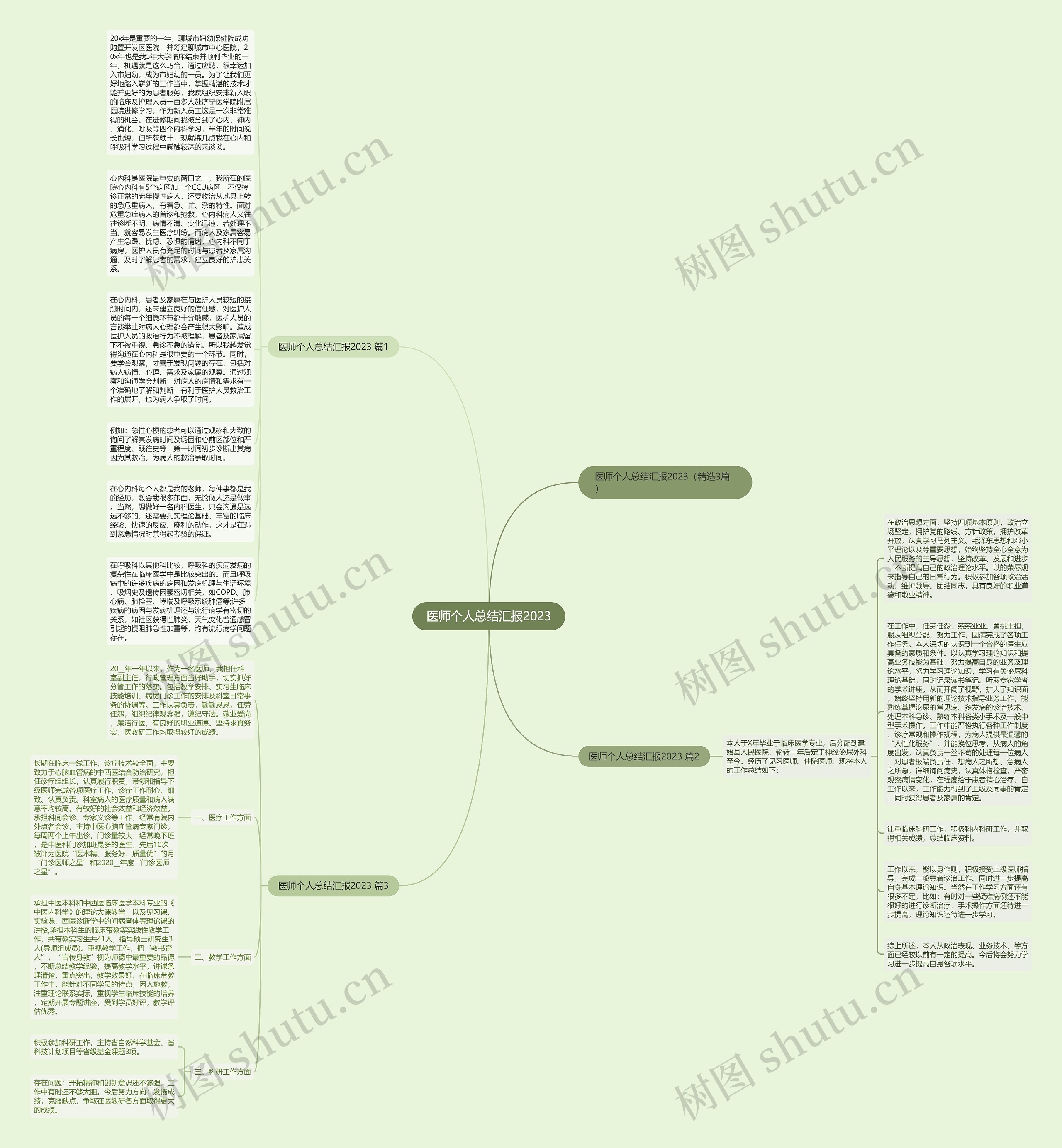 医师个人总结汇报2023思维导图