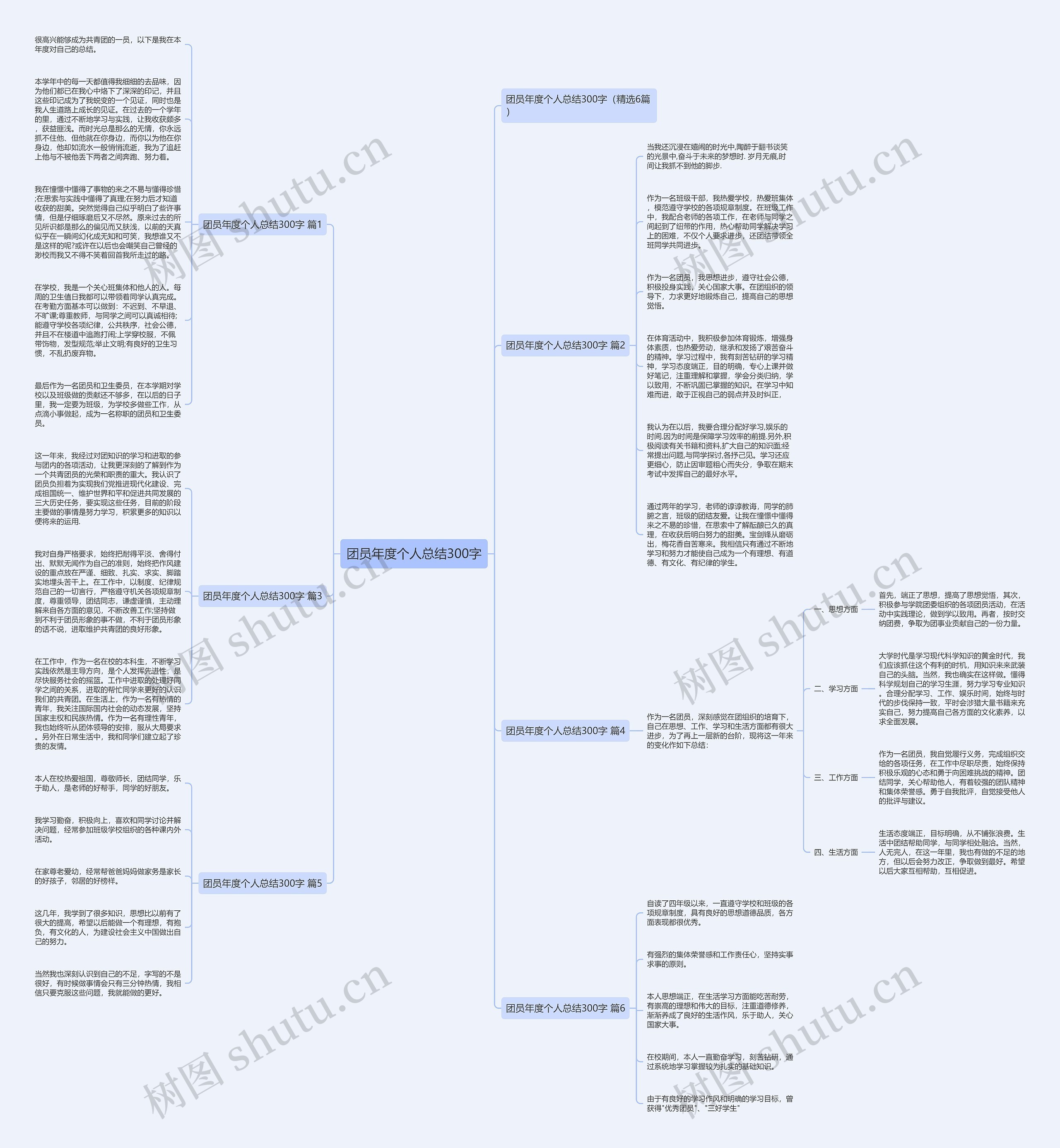 团员年度个人总结300字思维导图