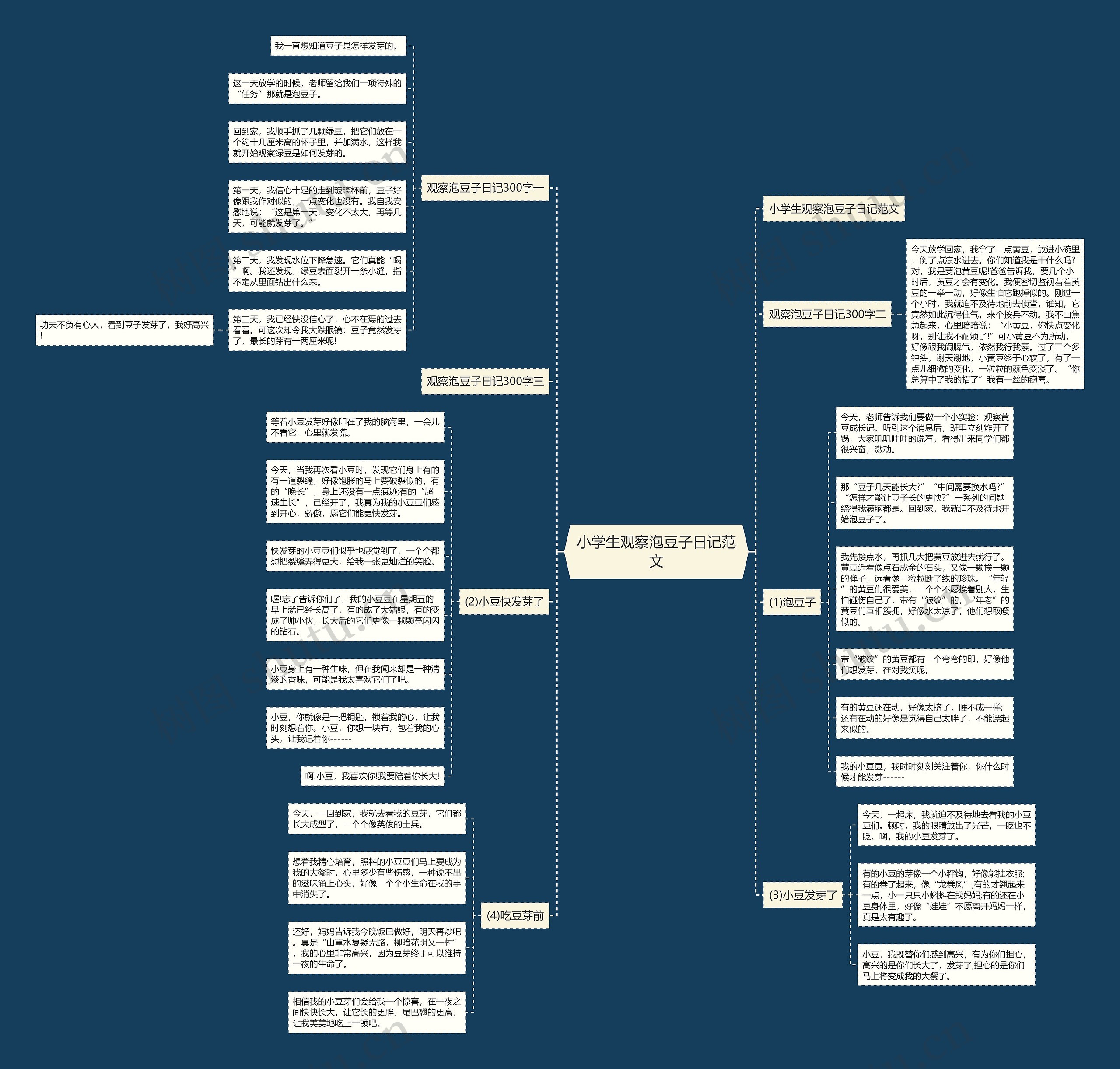 小学生观察泡豆子日记范文思维导图