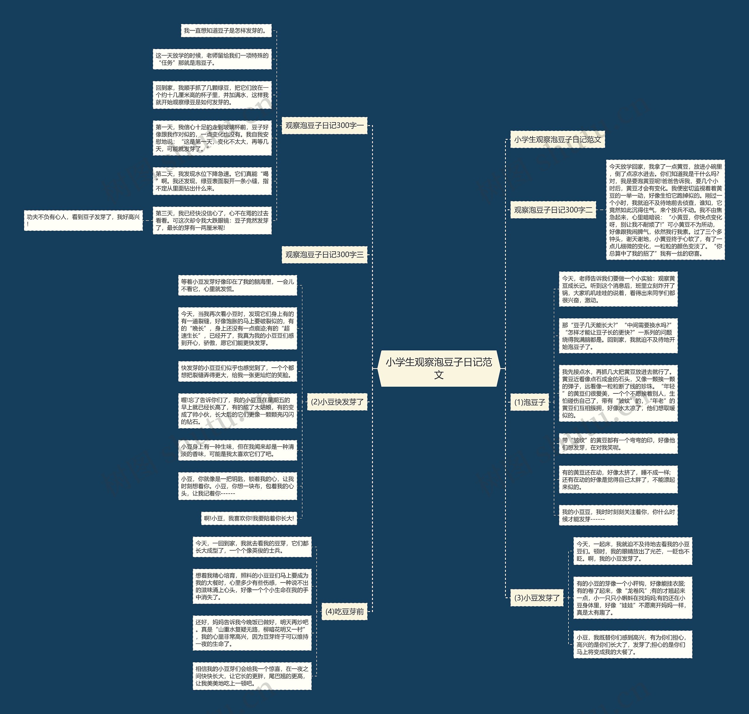 小学生观察泡豆子日记范文 小学生观察泡豆子日记范文
