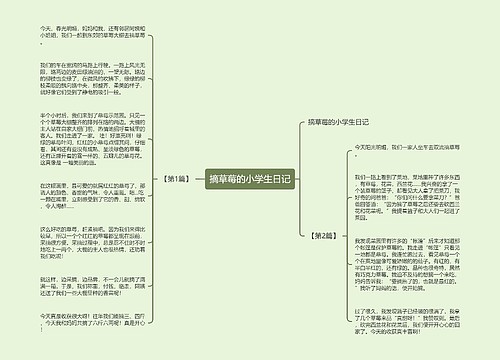 摘草莓的小学生日记