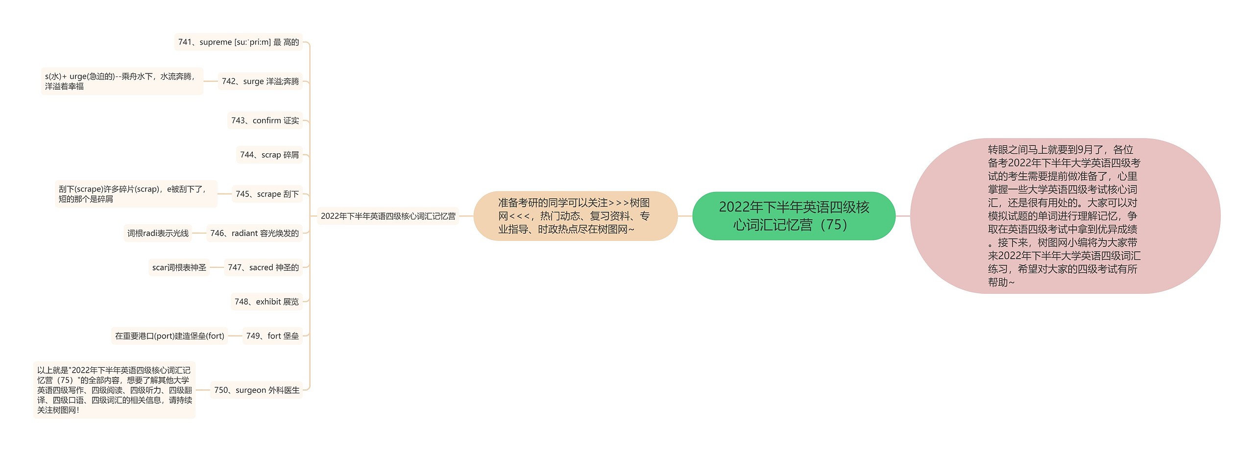 2022年下半年英语四级核心词汇记忆营（75）