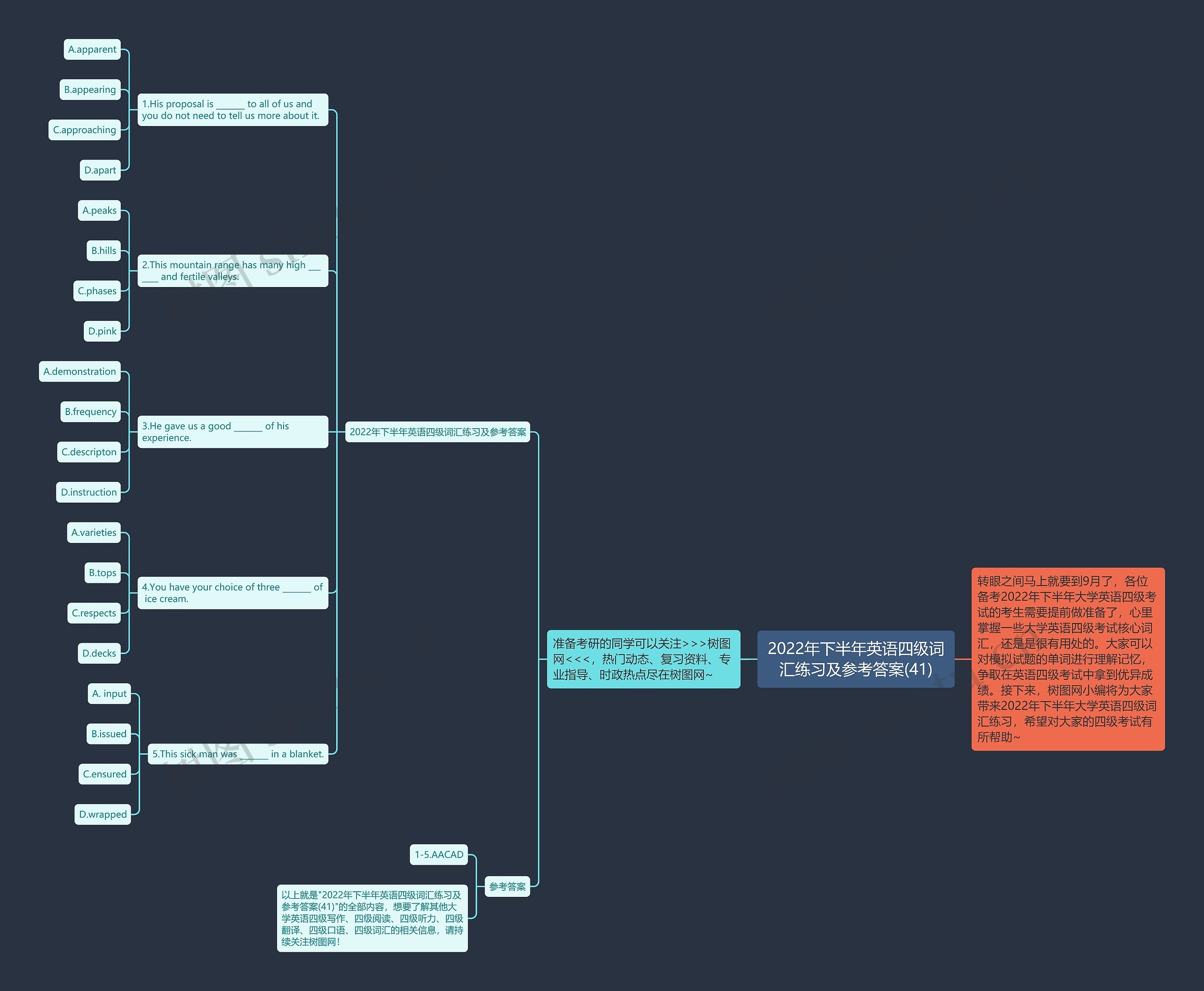 2022年下半年英语四级词汇练习及参考答案(41)思维导图