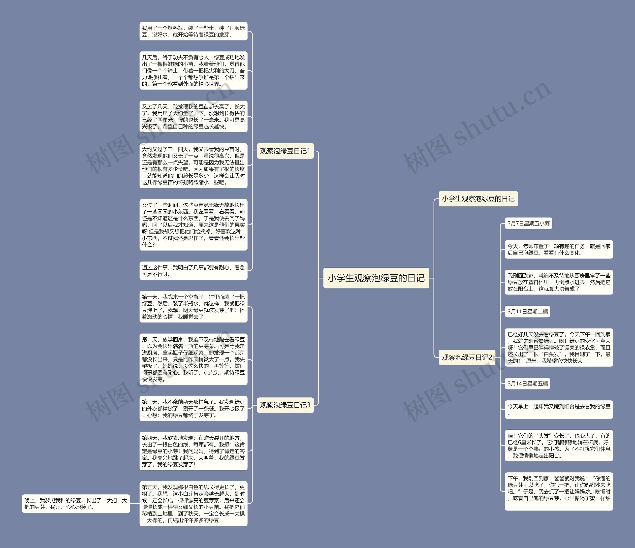 小学生观察泡绿豆的日记思维导图