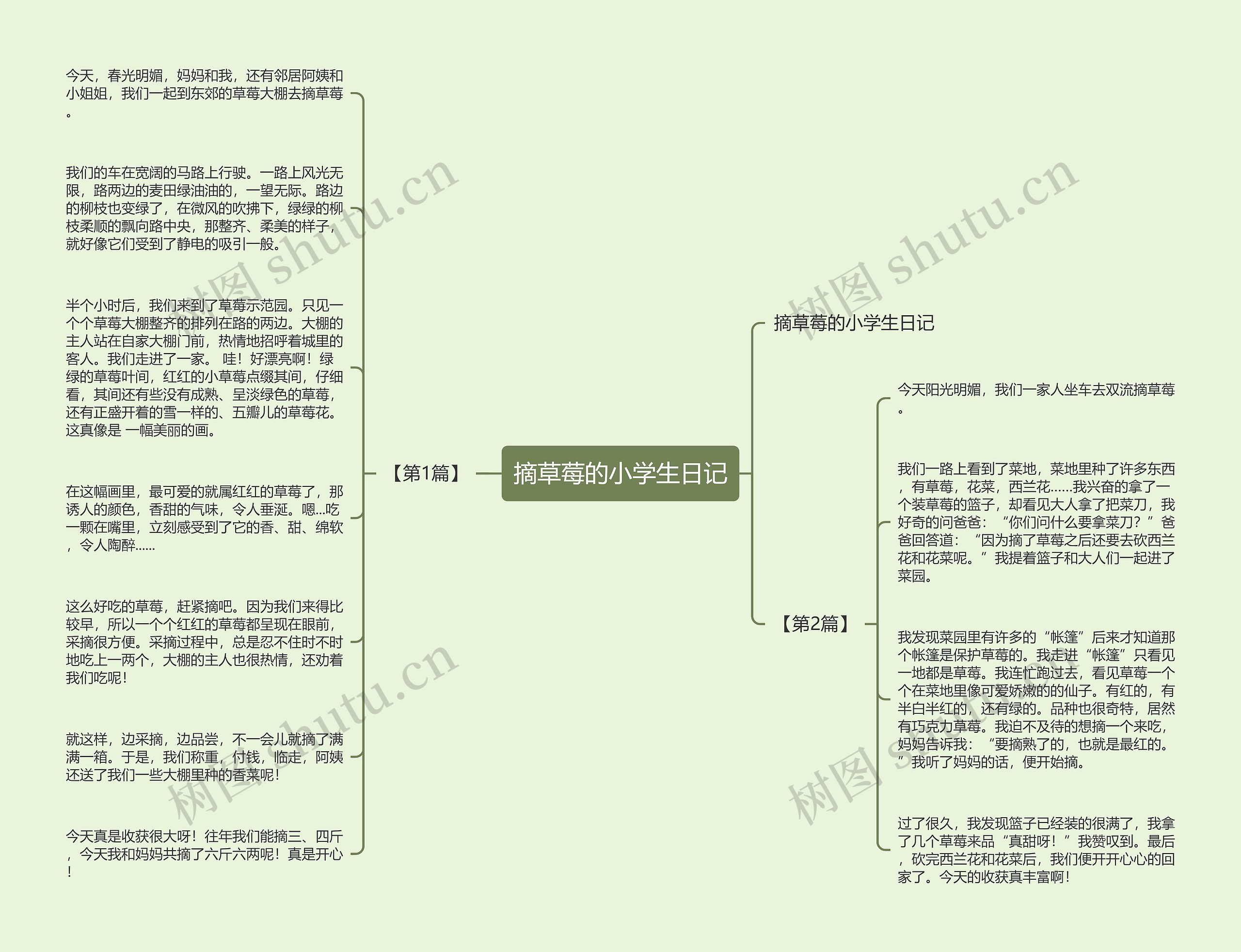 摘草莓的小学生日记思维导图