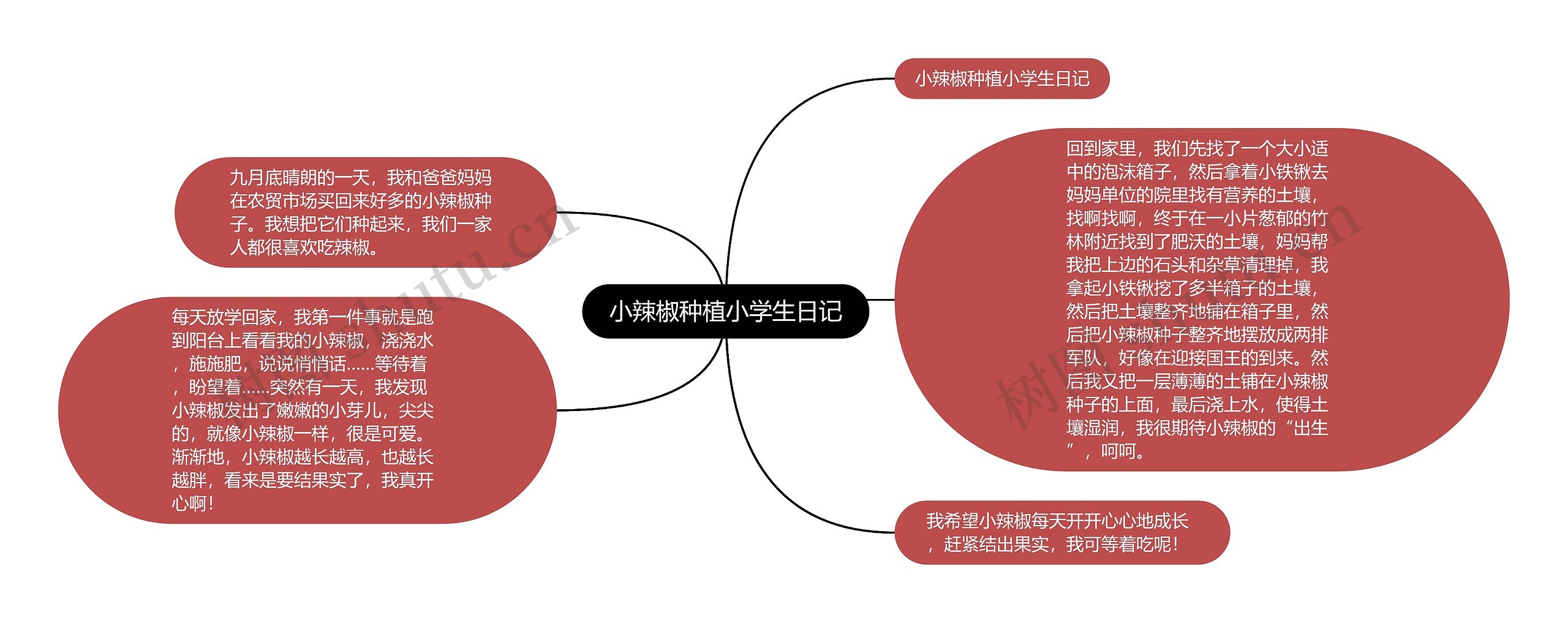 小辣椒种植小学生日记思维导图