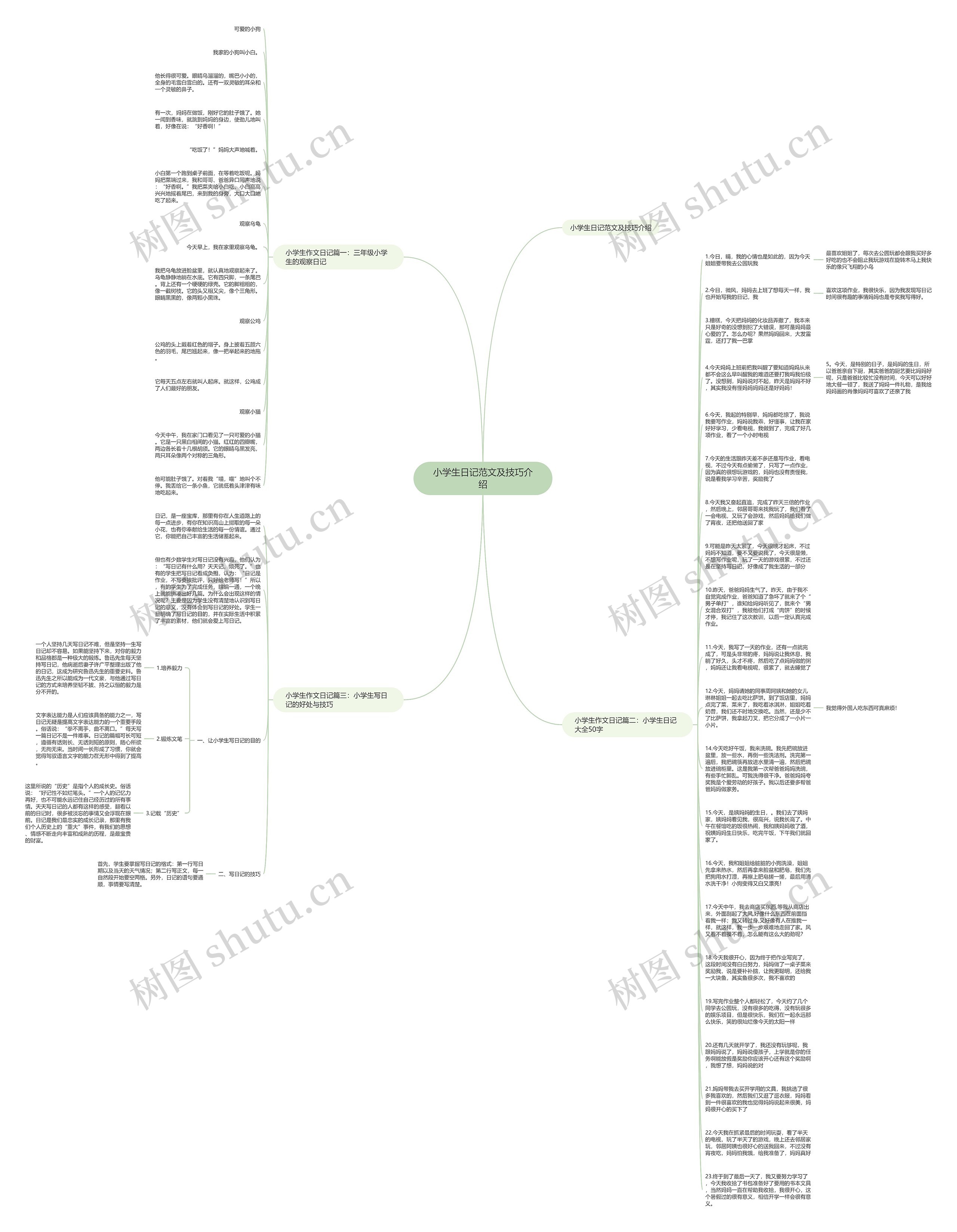 小学生日记范文及技巧介绍思维导图