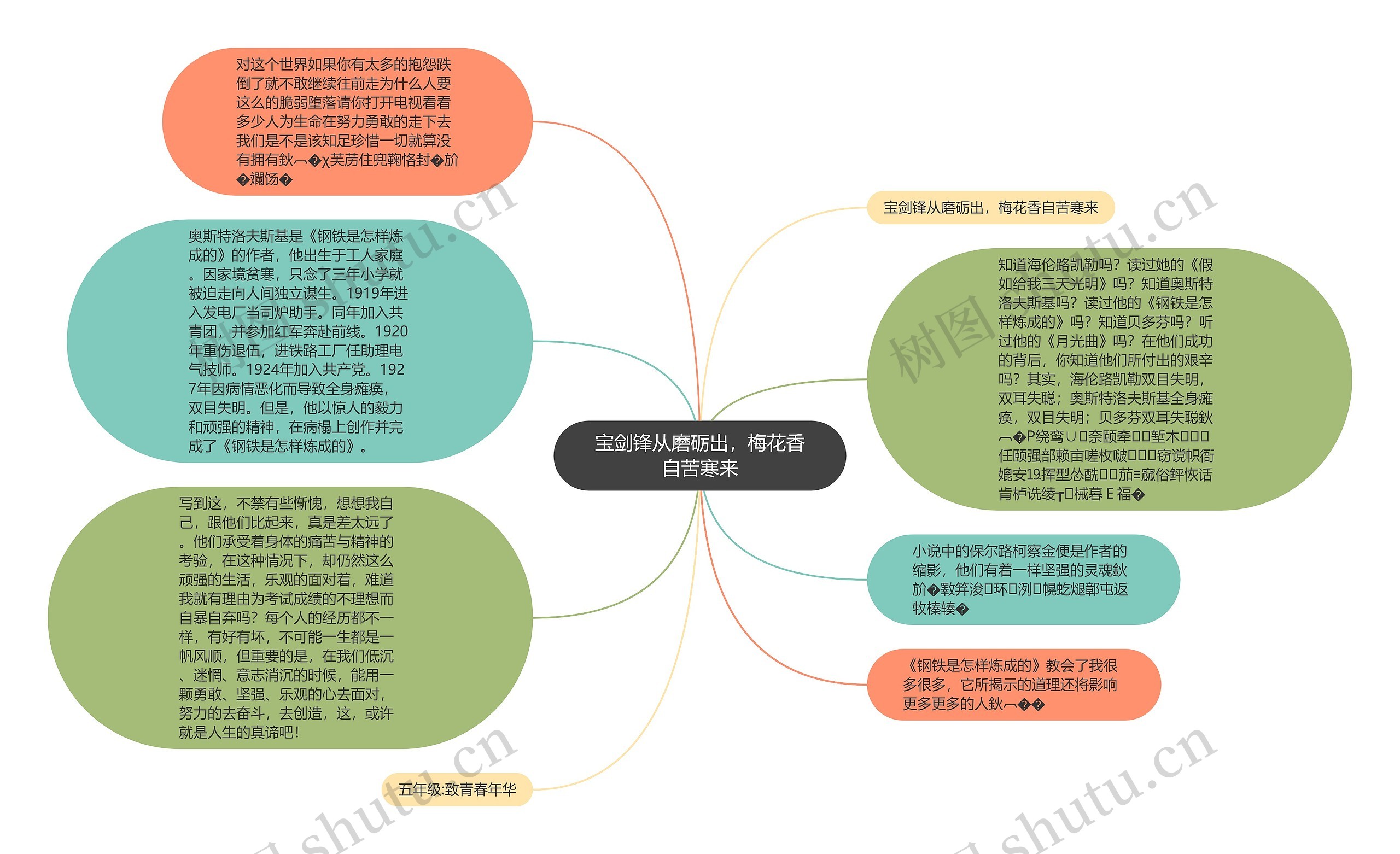 宝剑锋从磨砺出，梅花香自苦寒来思维导图