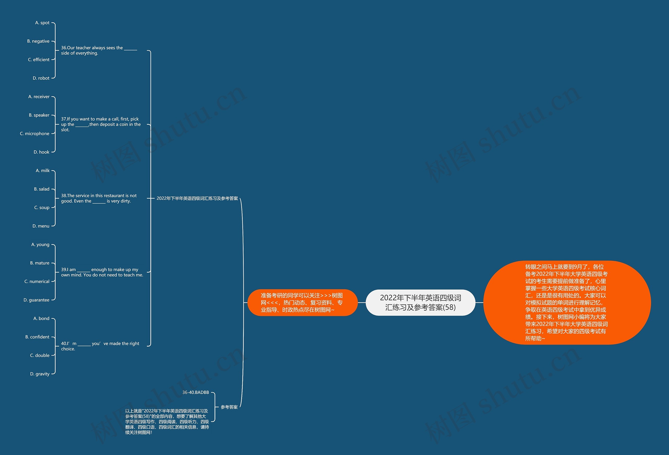 2022年下半年英语四级词汇练习及参考答案(58)思维导图