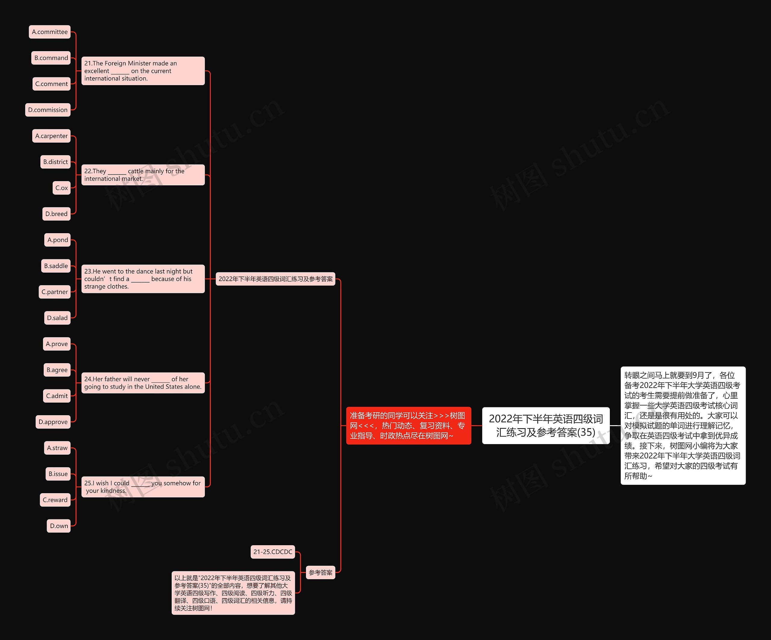 2022年下半年英语四级词汇练习及参考答案(35)思维导图