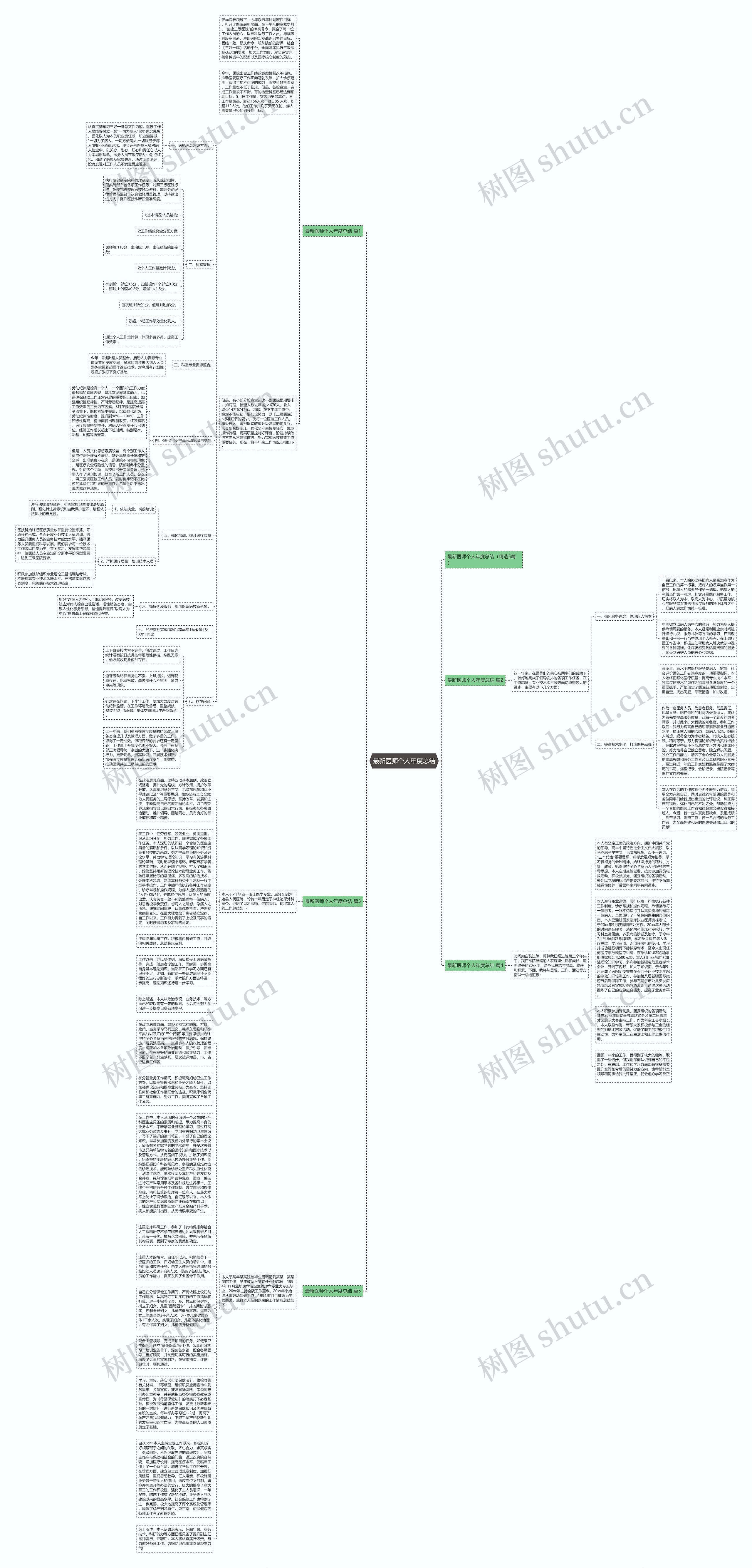 最新医师个人年度总结思维导图