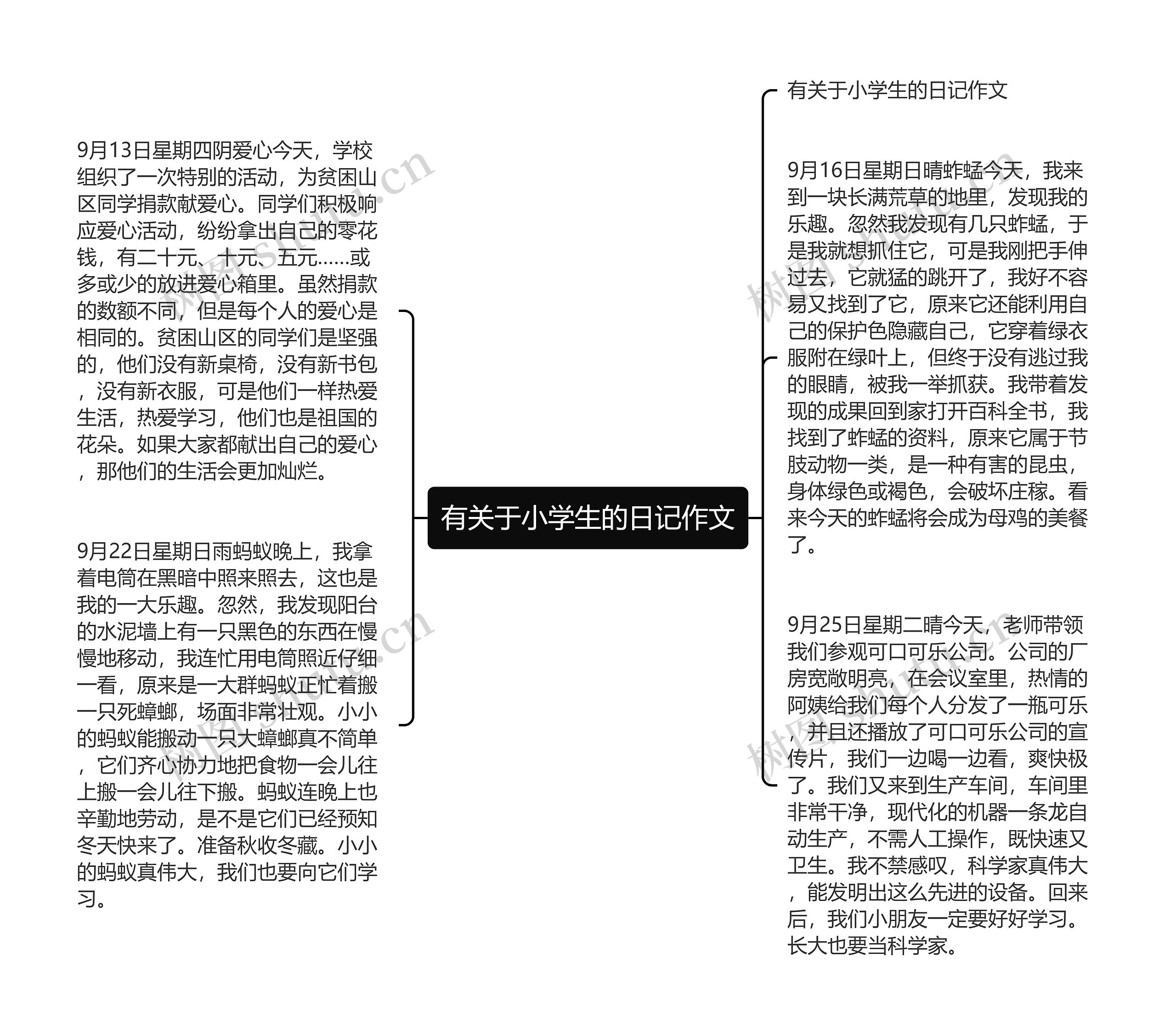 有关于小学生的日记作文