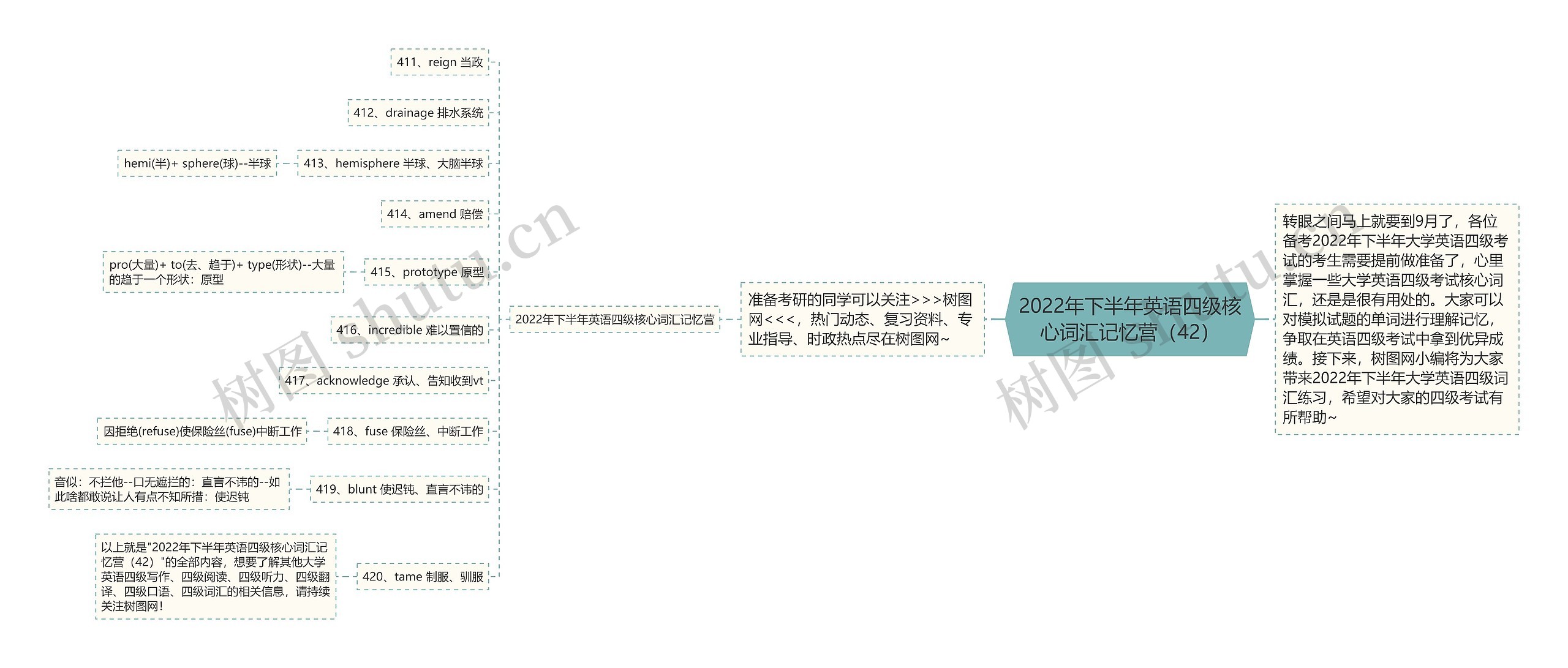 2022年下半年英语四级核心词汇记忆营（42）