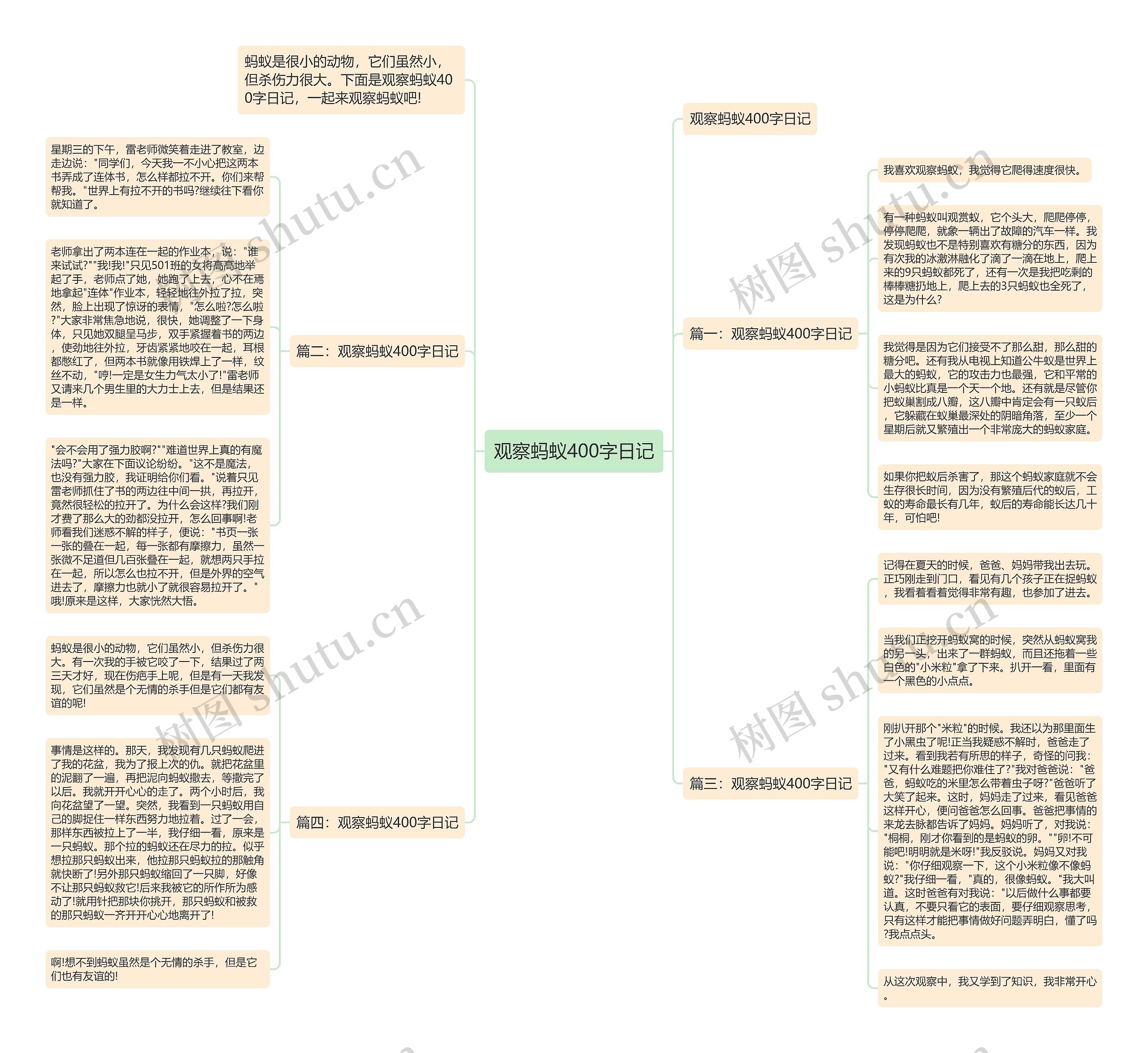 观察蚂蚁400字日记思维导图