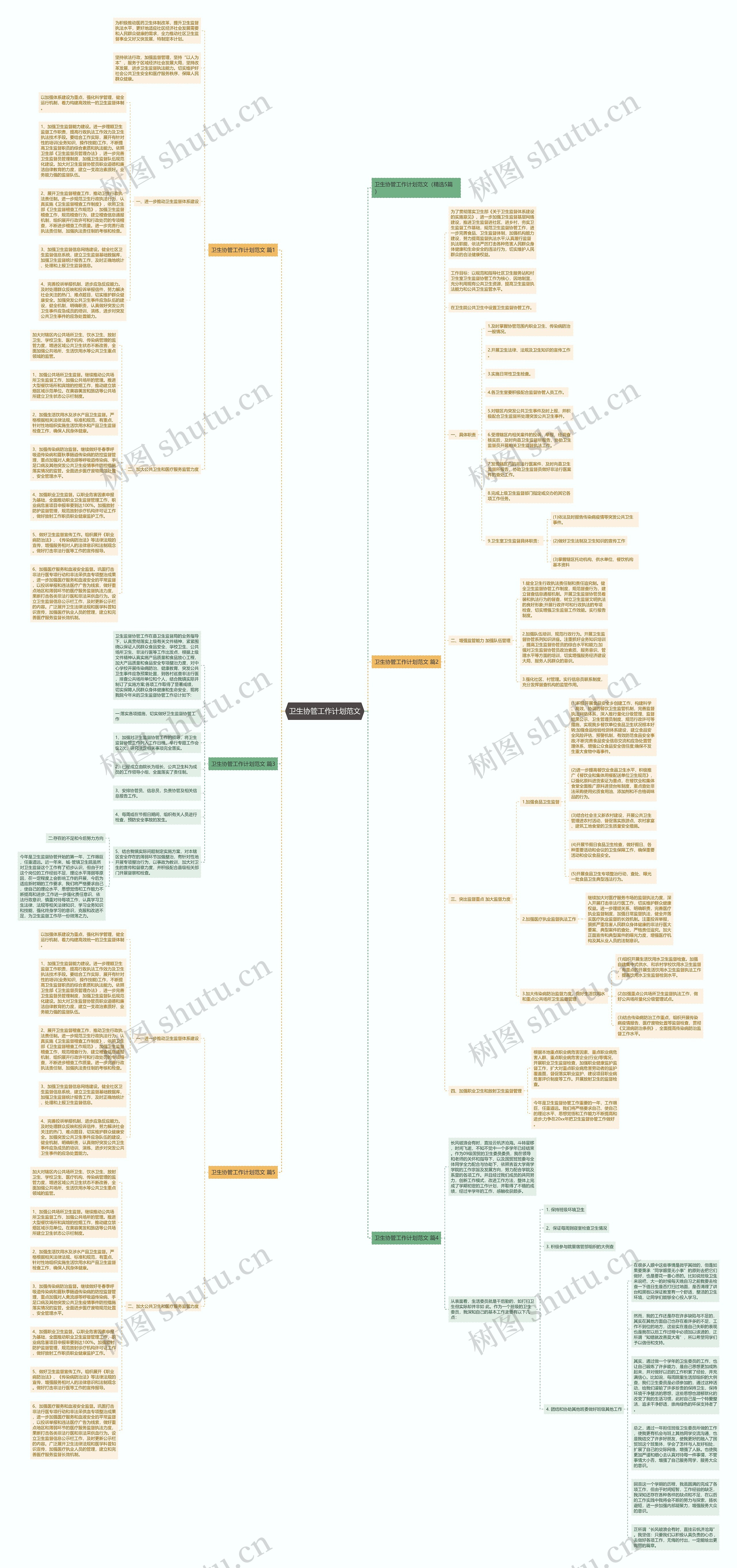 卫生协管工作计划范文思维导图