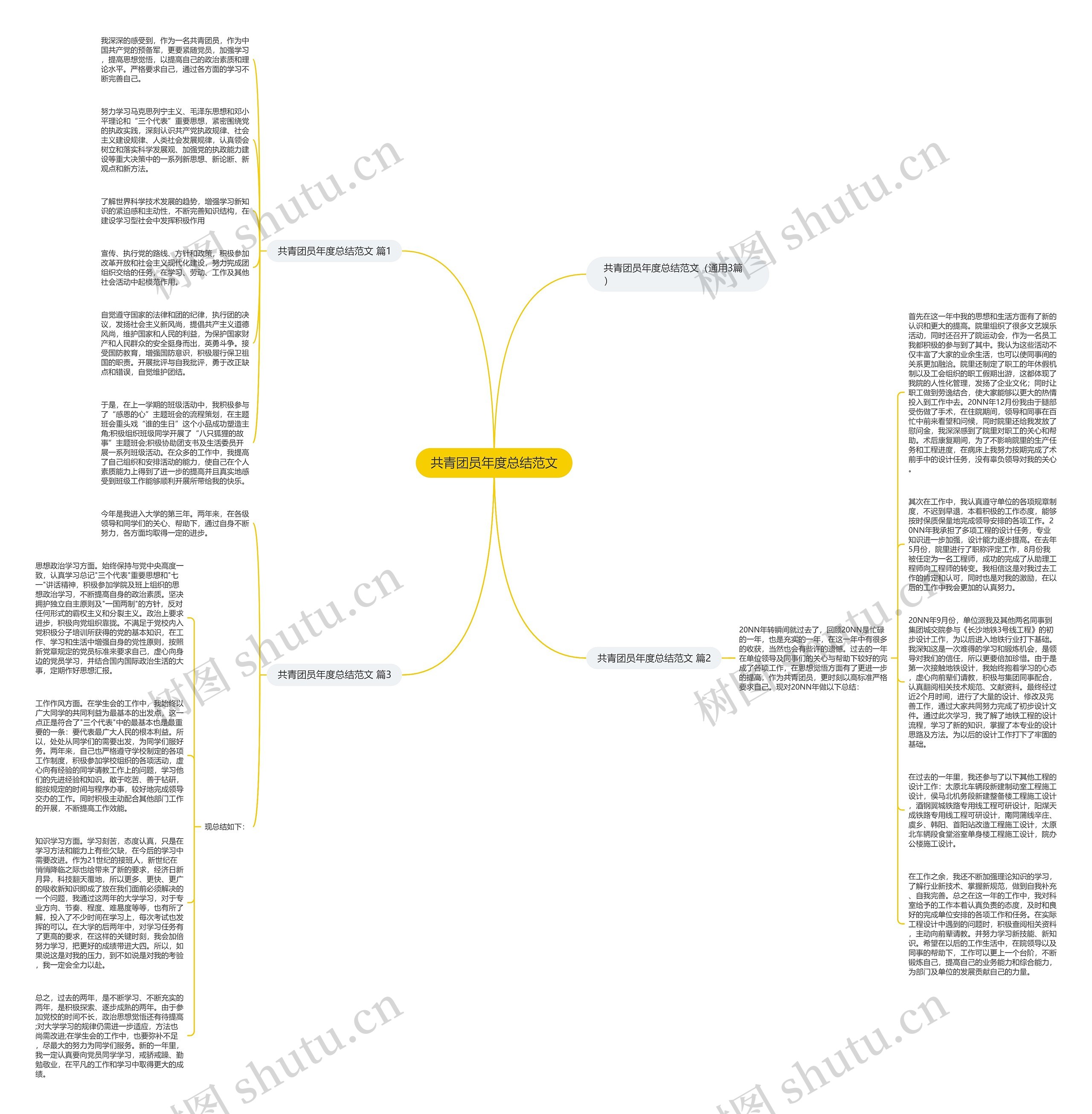 共青团员年度总结范文思维导图