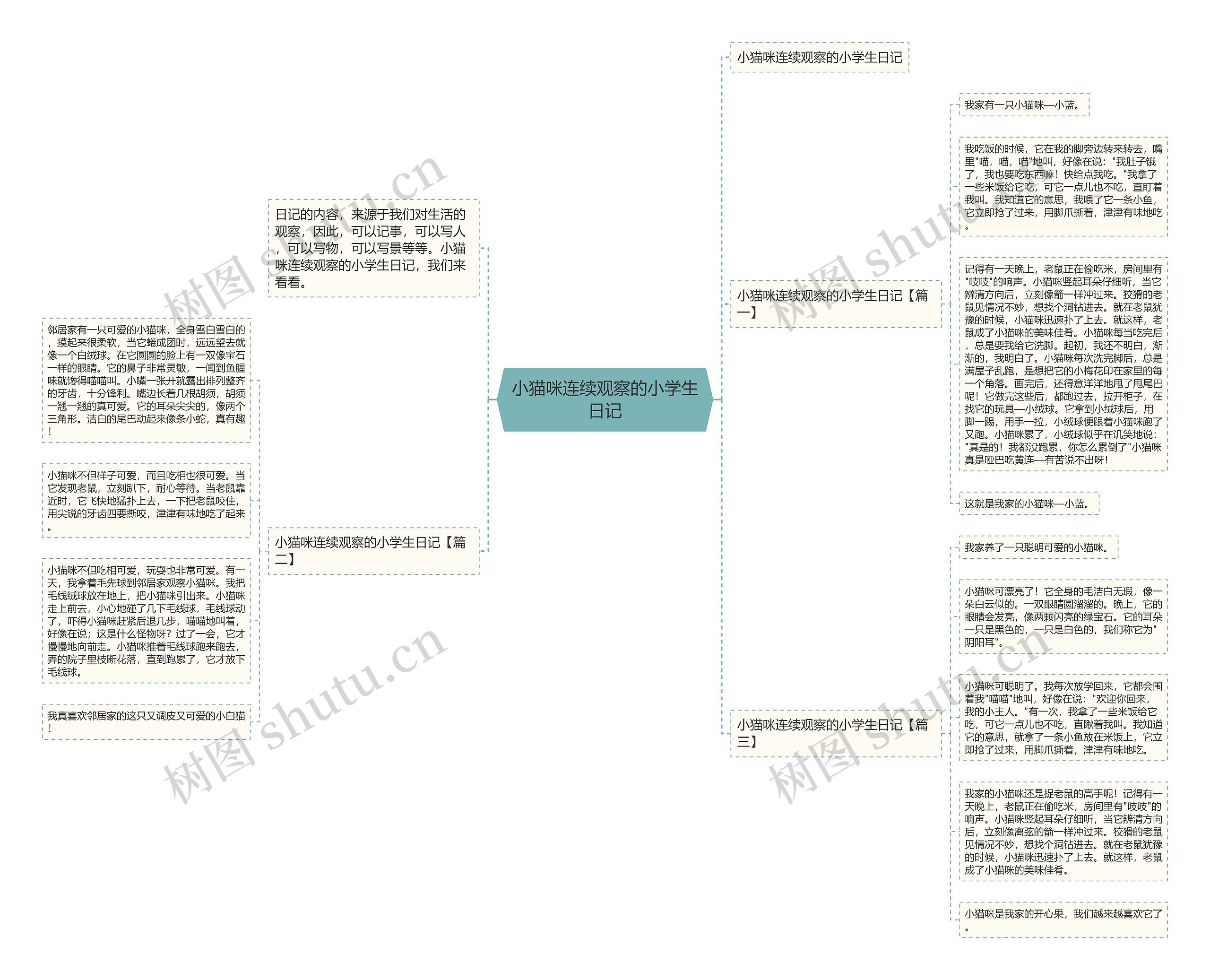 小猫咪连续观察的小学生日记思维导图