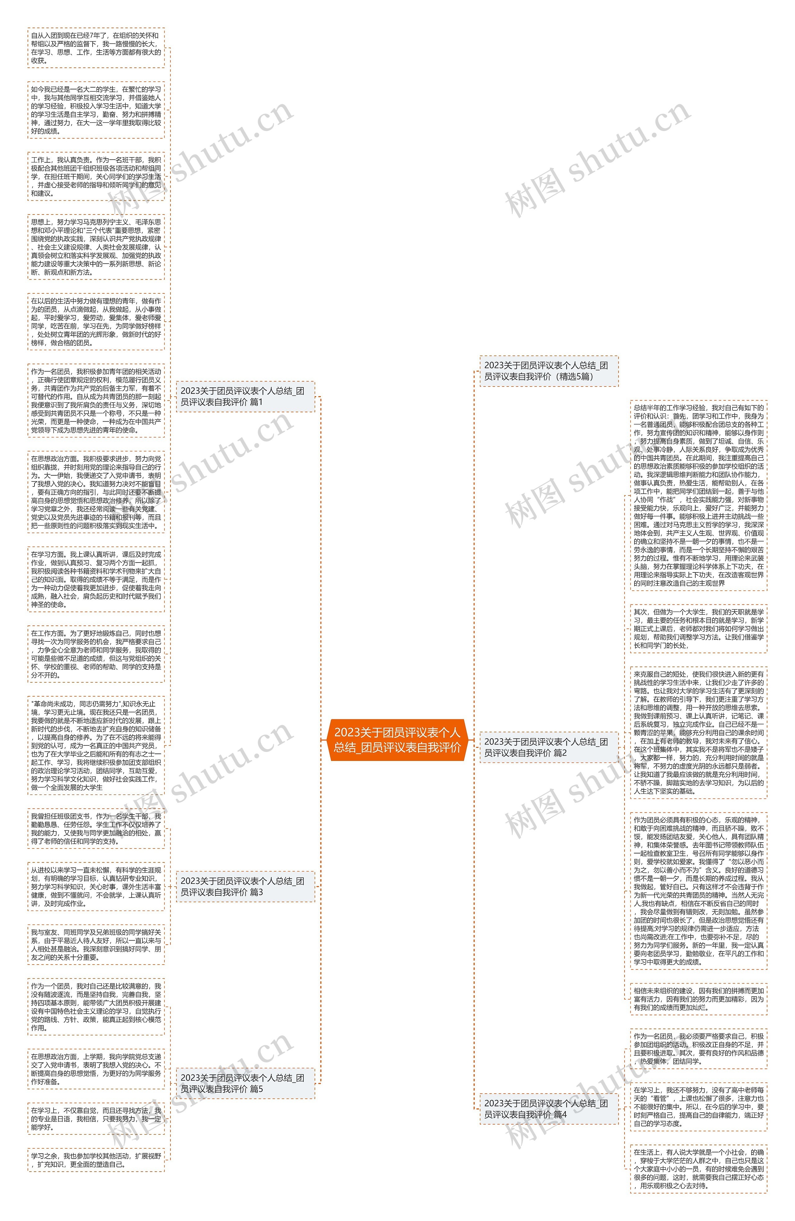 2023关于团员评议表个人总结_团员评议表自我评价思维导图