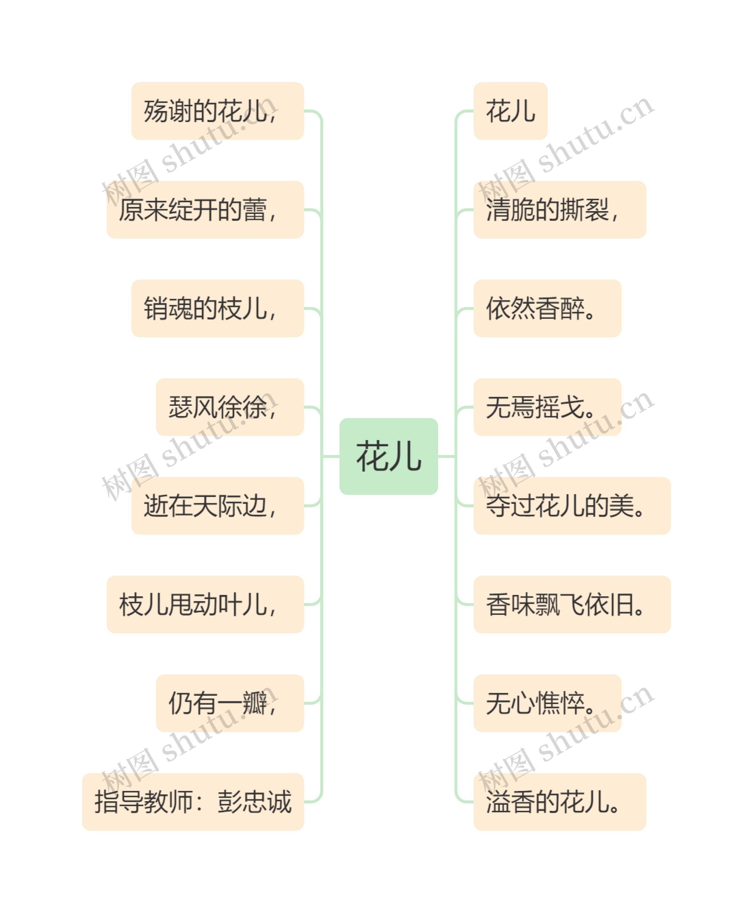 花儿思维导图