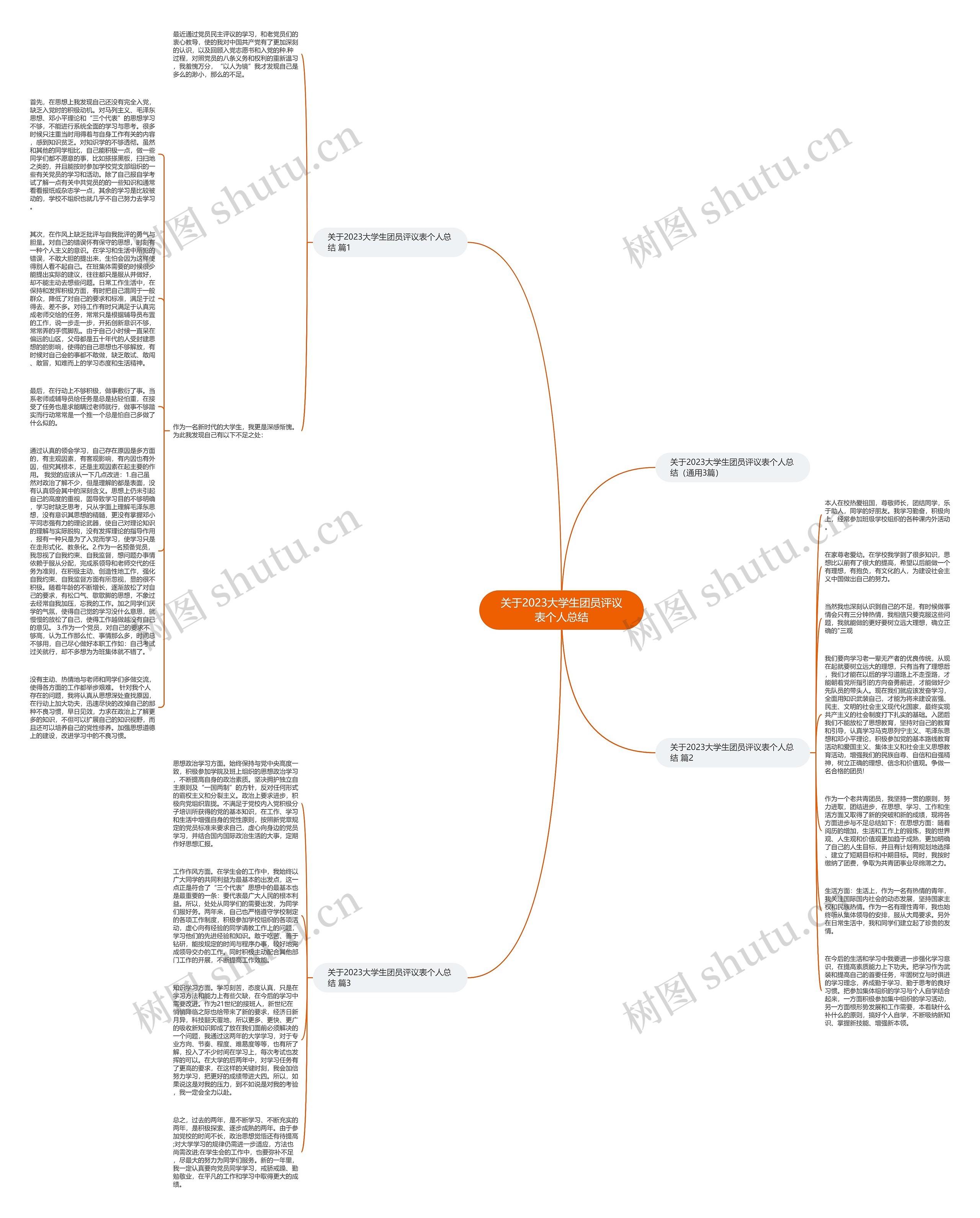 关于2023大学生团员评议表个人总结思维导图