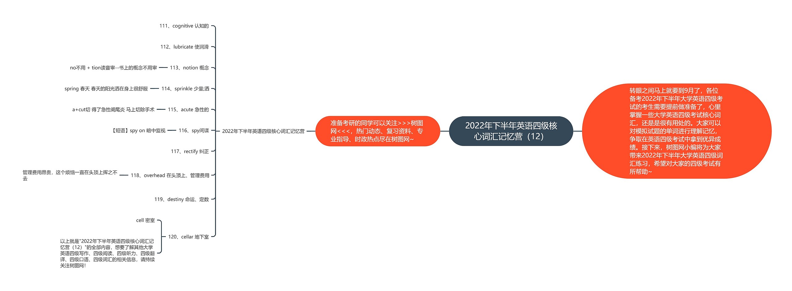 2022年下半年英语四级核心词汇记忆营（12）