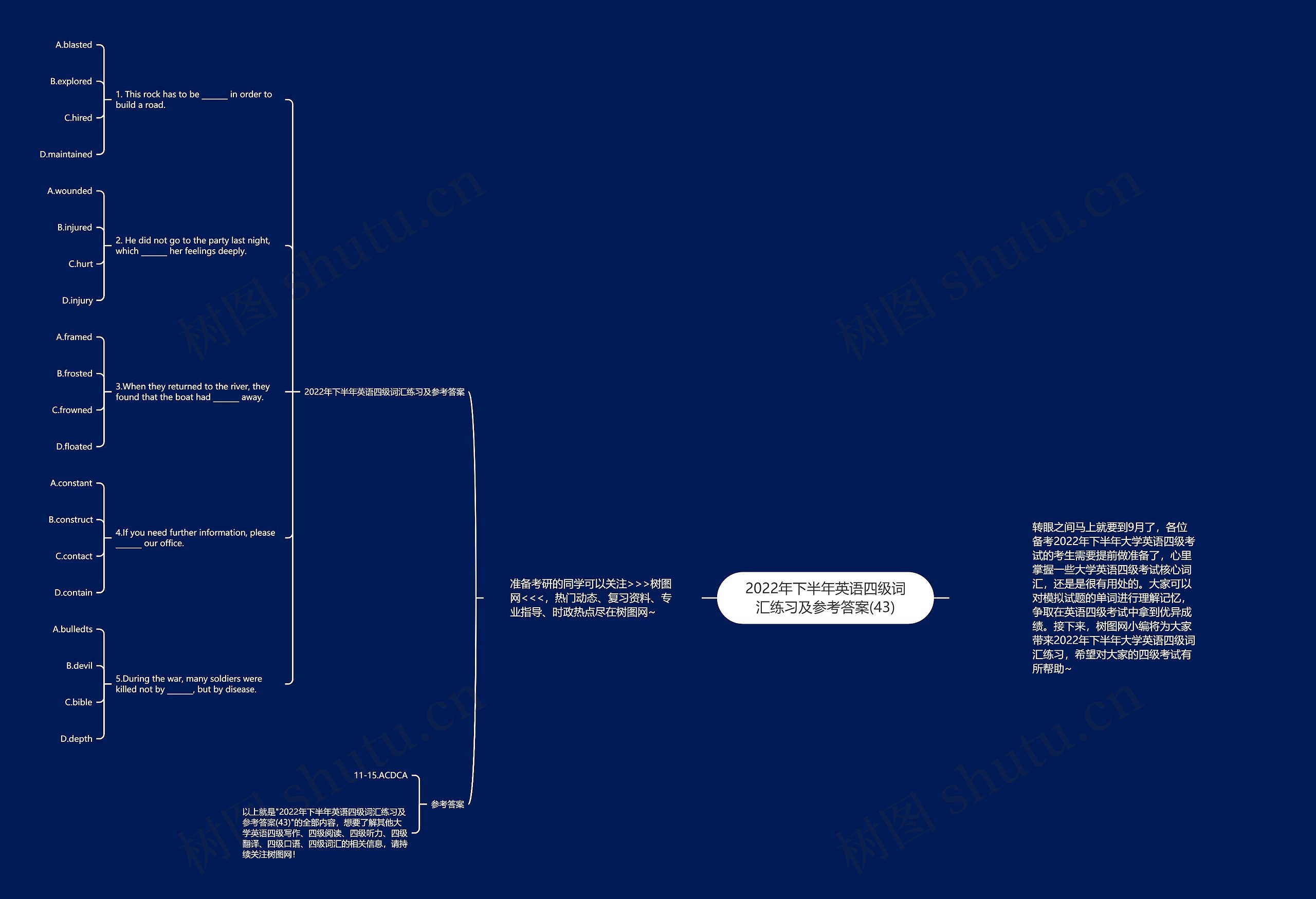 2022年下半年英语四级词汇练习及参考答案(43)思维导图