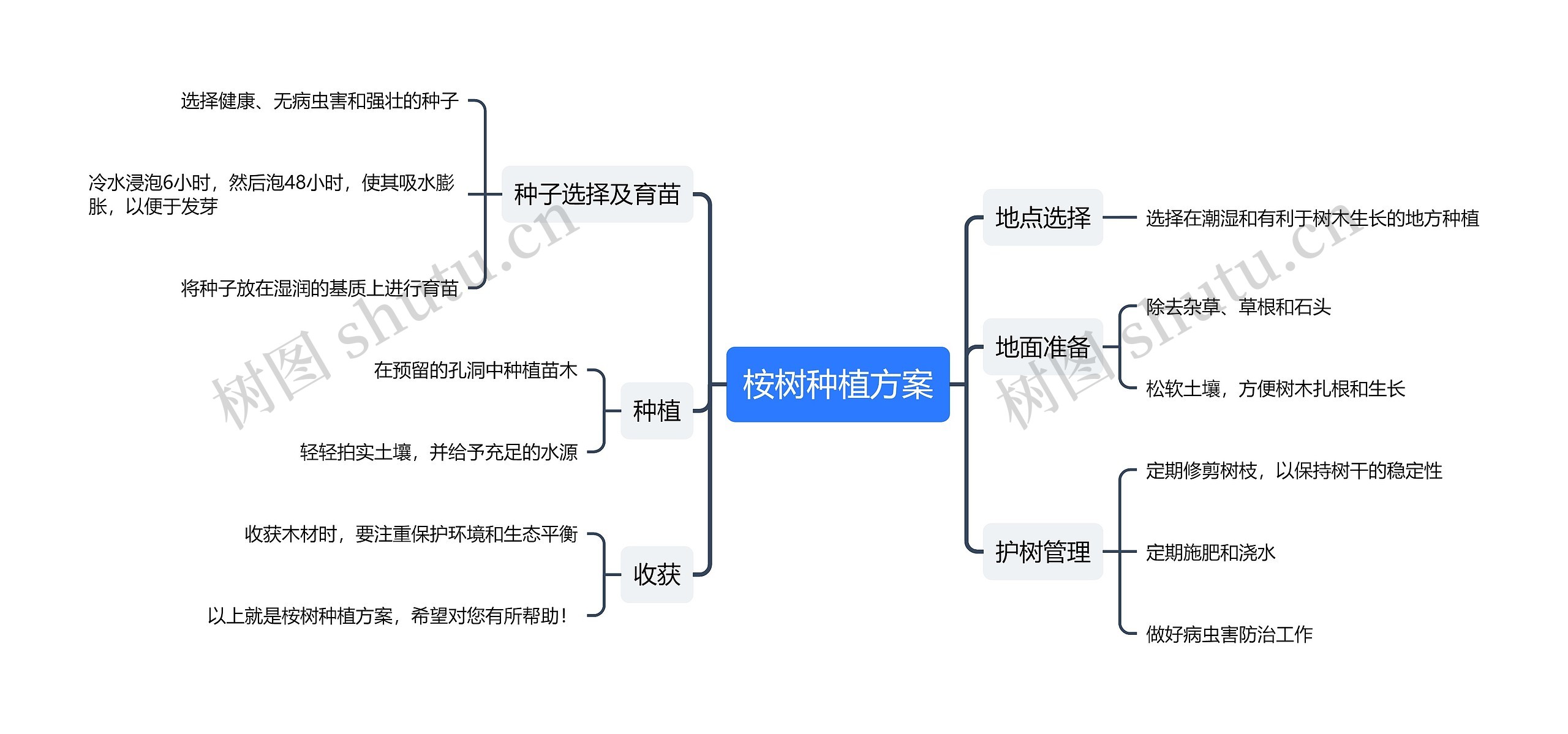 桉树种植方案思维导图