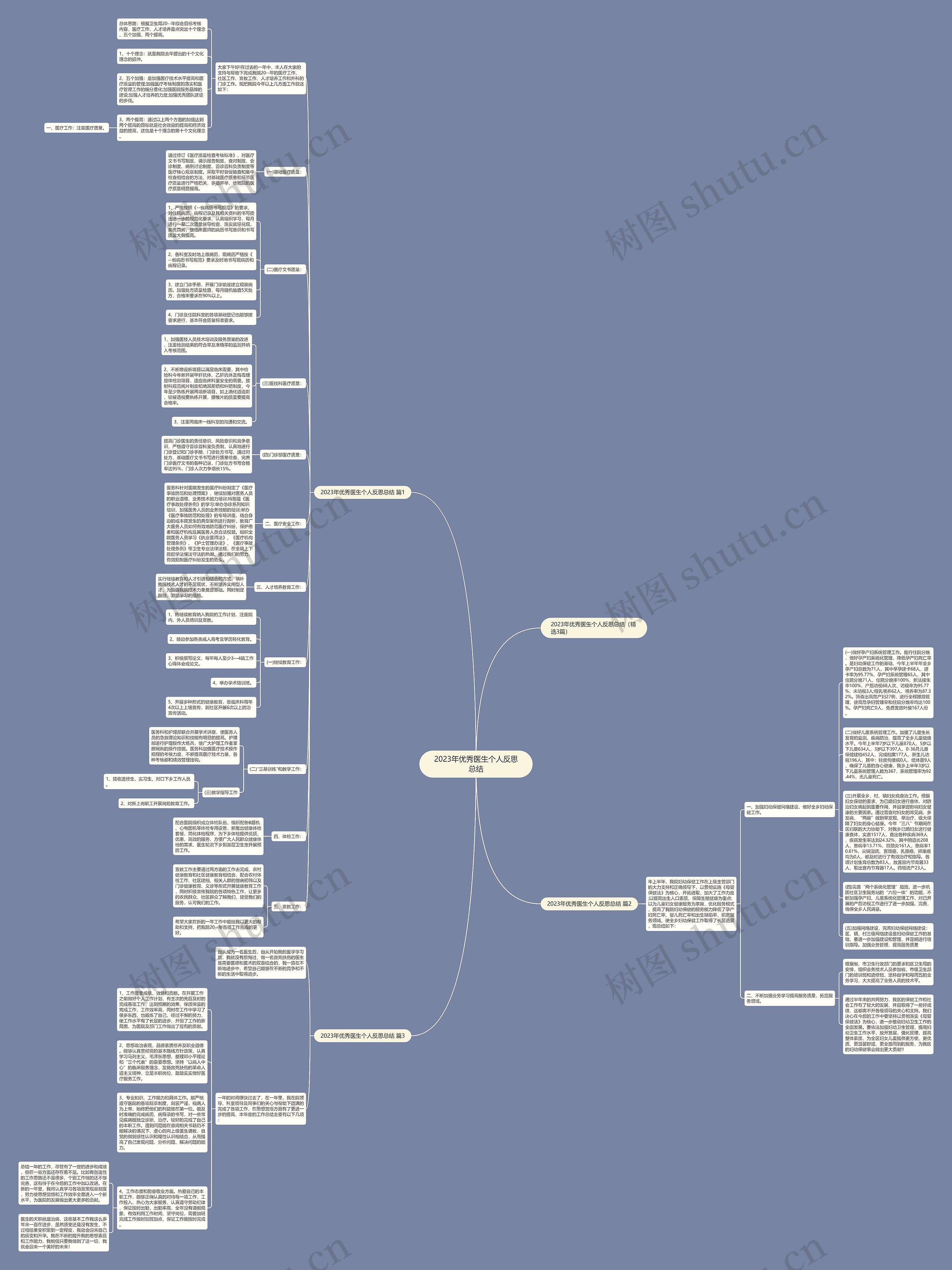 2023年优秀医生个人反思总结思维导图