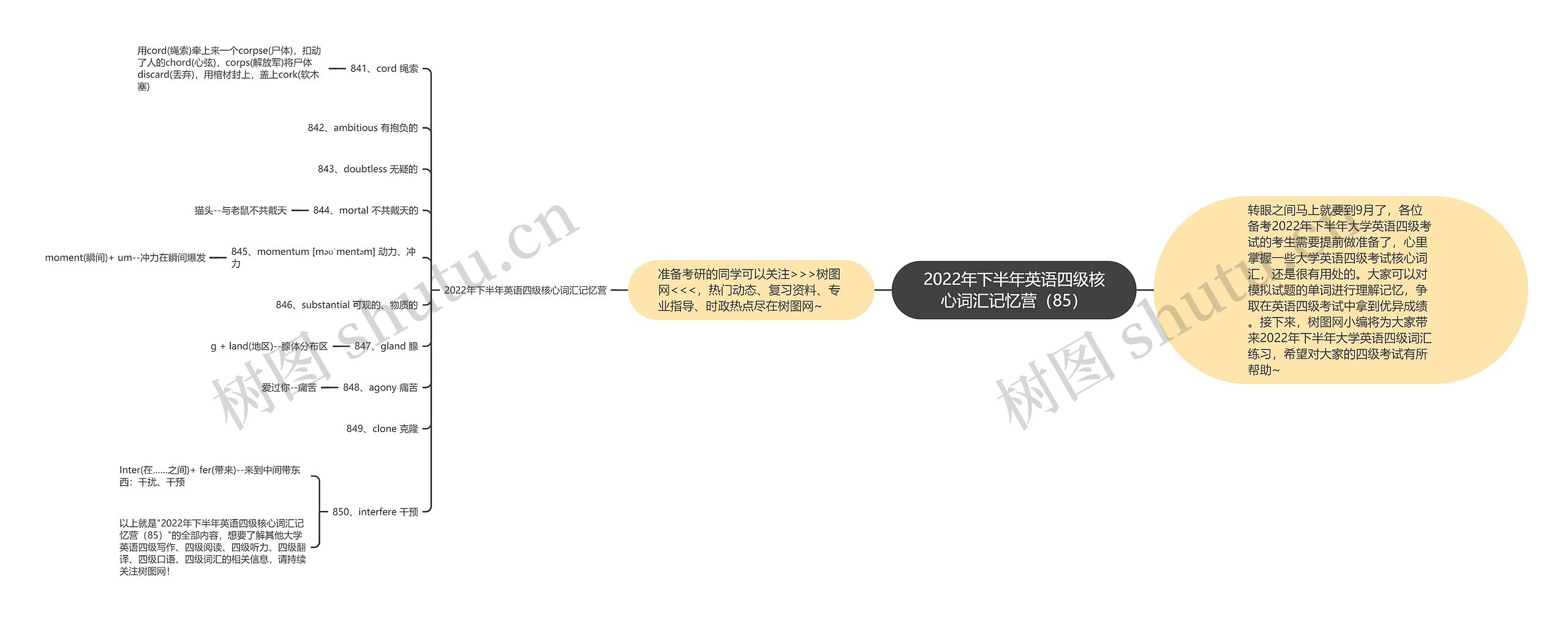 2022年下半年英语四级核心词汇记忆营（85）思维导图