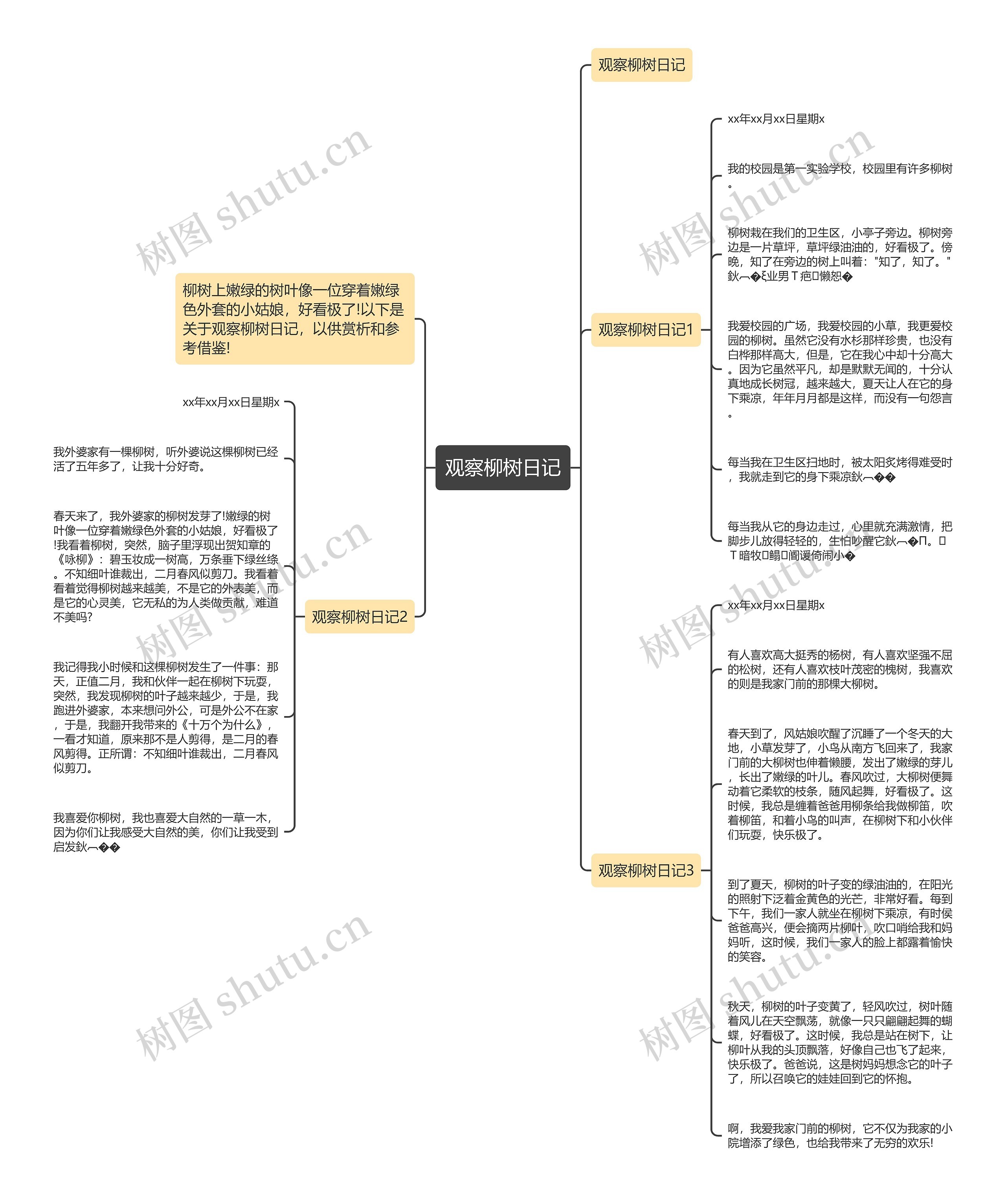 观察柳树日记思维导图