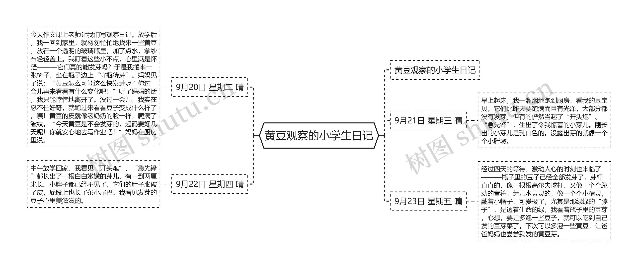 黄豆观察的小学生日记思维导图