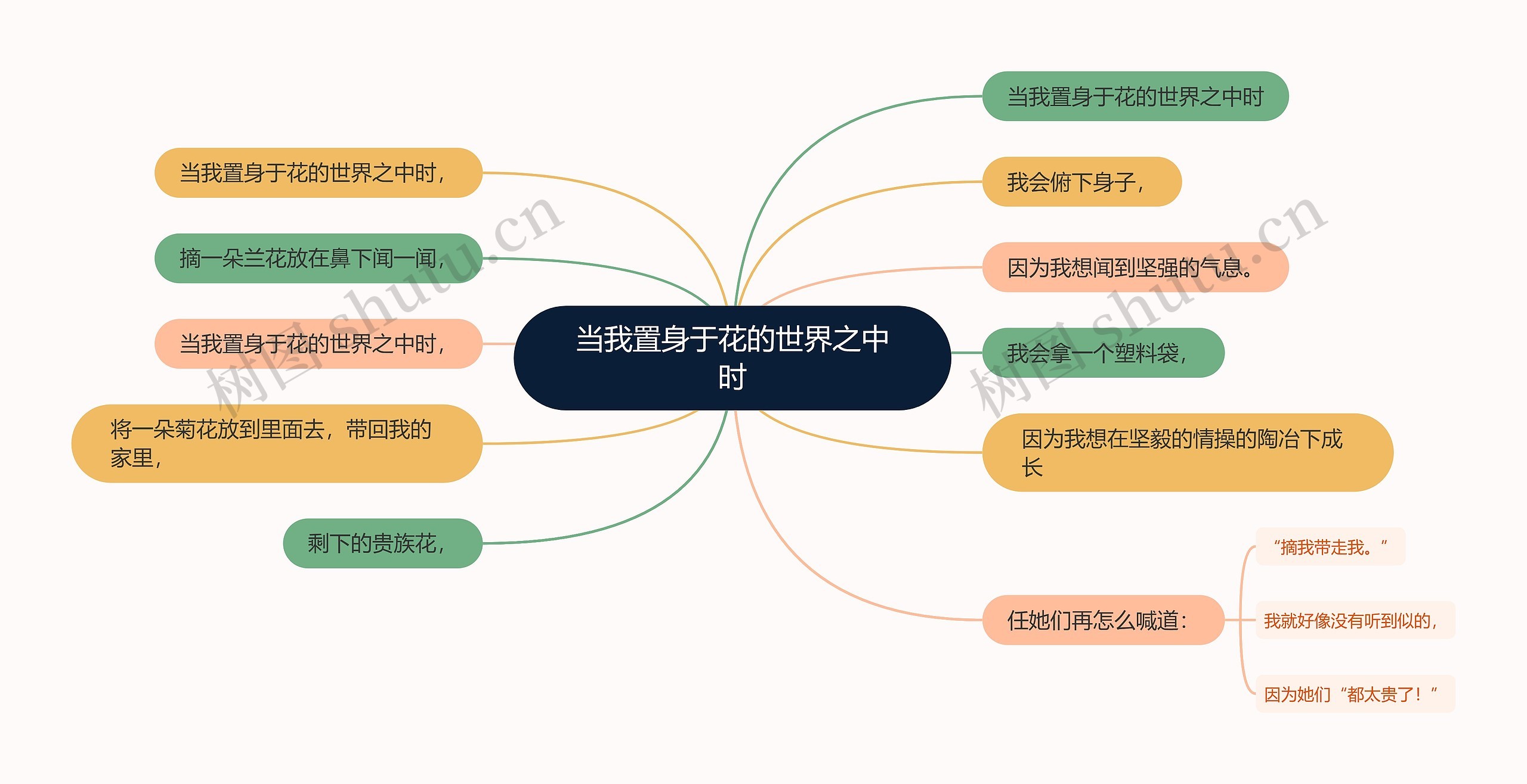 当我置身于花的世界之中时思维导图