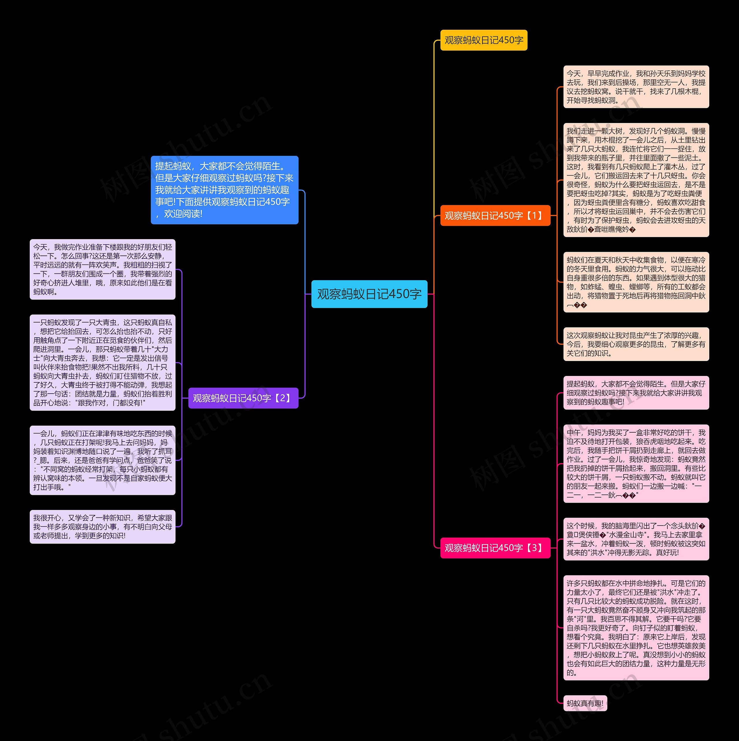 观察蚂蚁日记450字思维导图