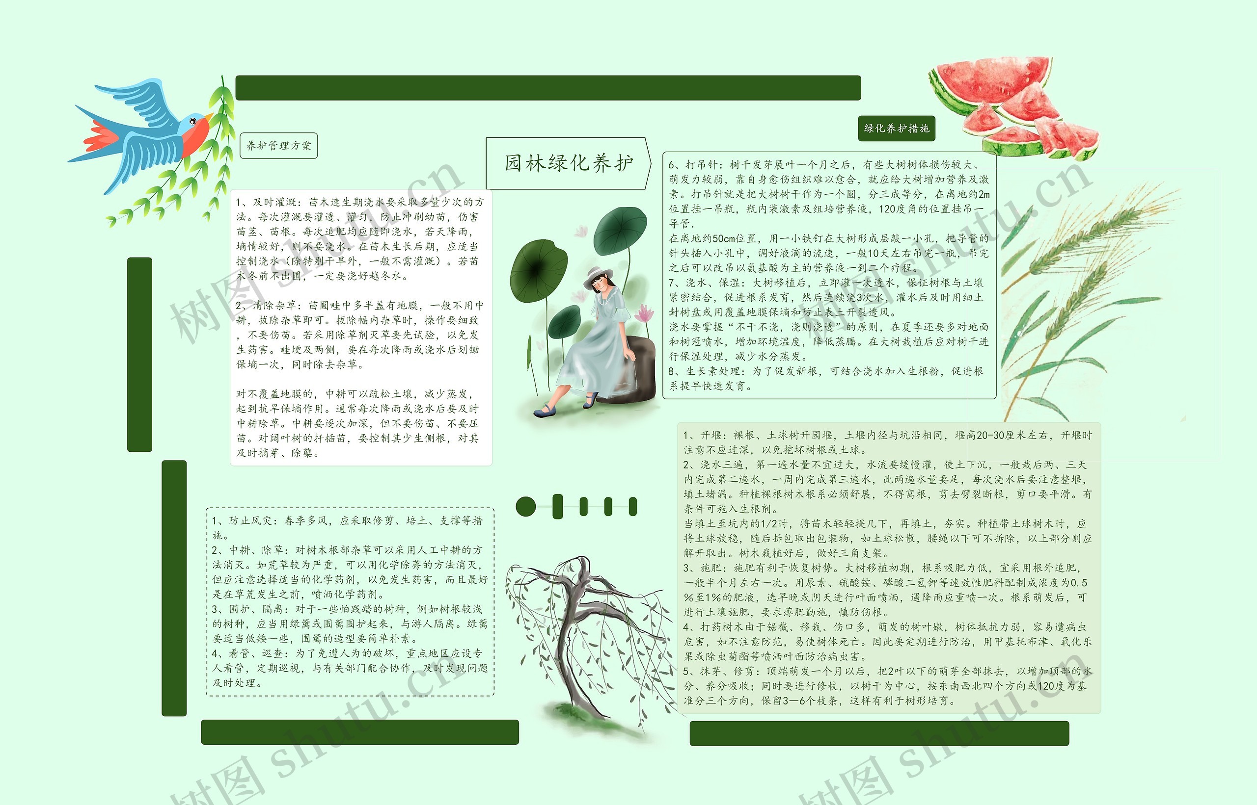 园林绿化养护手抄报思维导图高清图 园林绿化养护手抄报思维导图