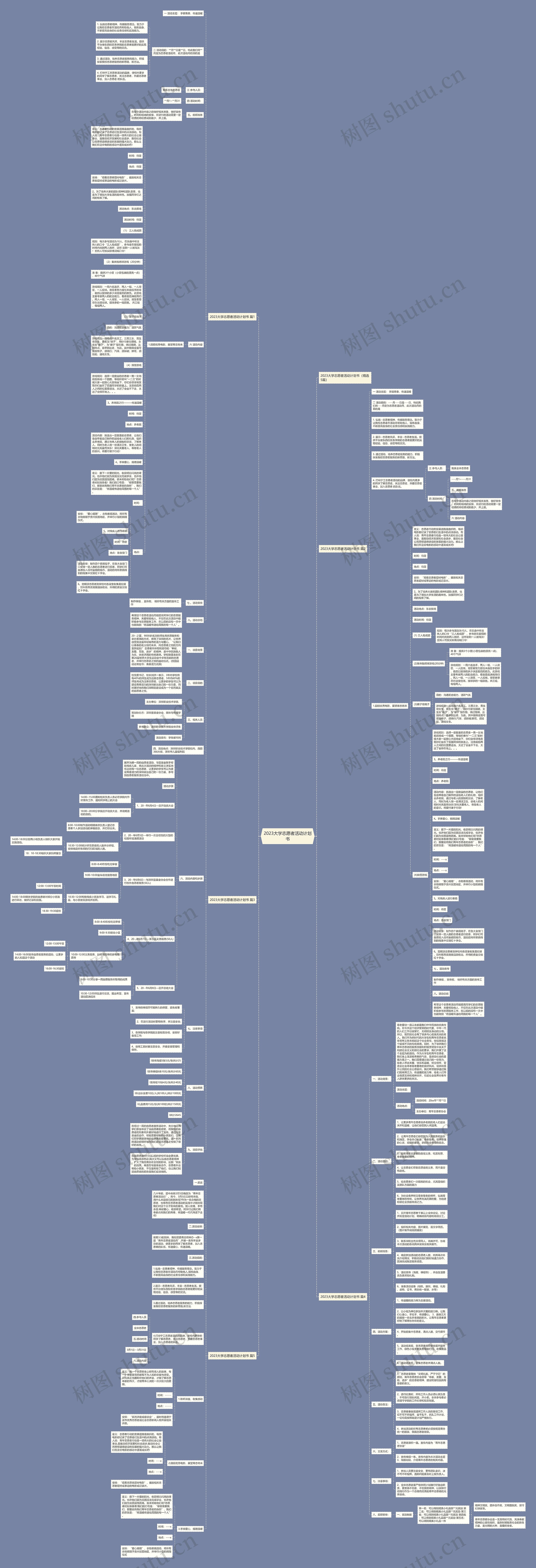 2023大学志愿者活动计划书思维导图