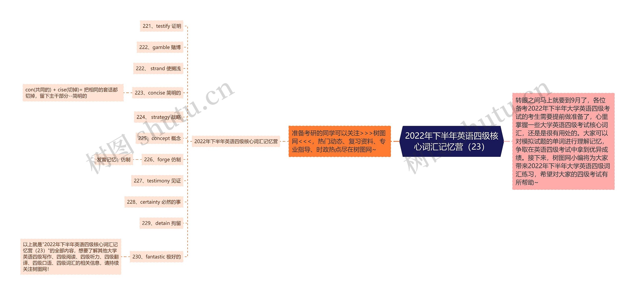 2022年下半年英语四级核心词汇记忆营（23）